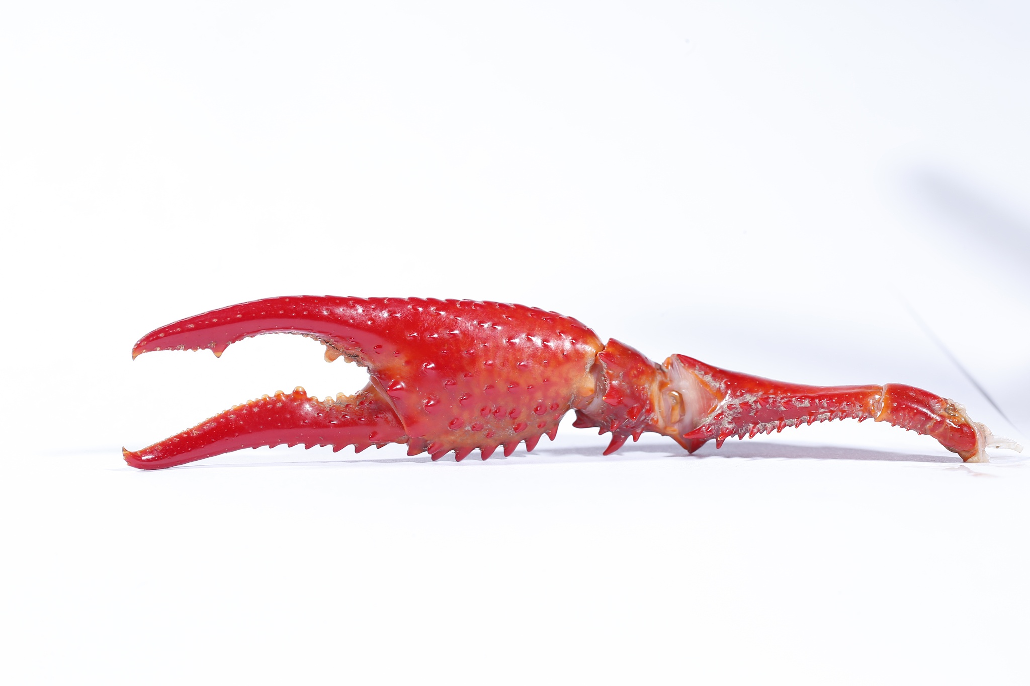 全自动小龙虾剥皮机的运营模式