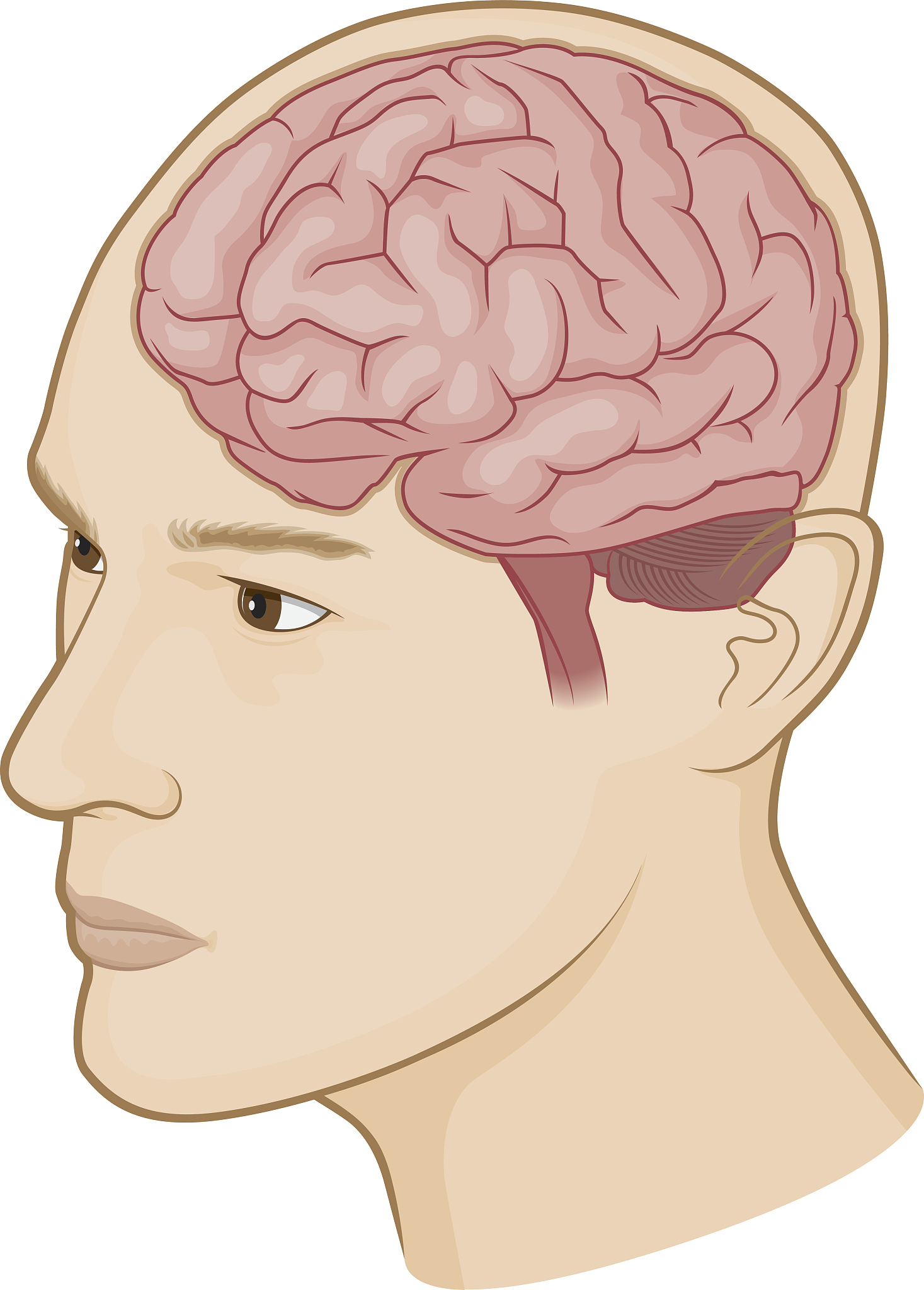 广东岭南职业技术学院动漫设计与制作专业怎么样？优势分析