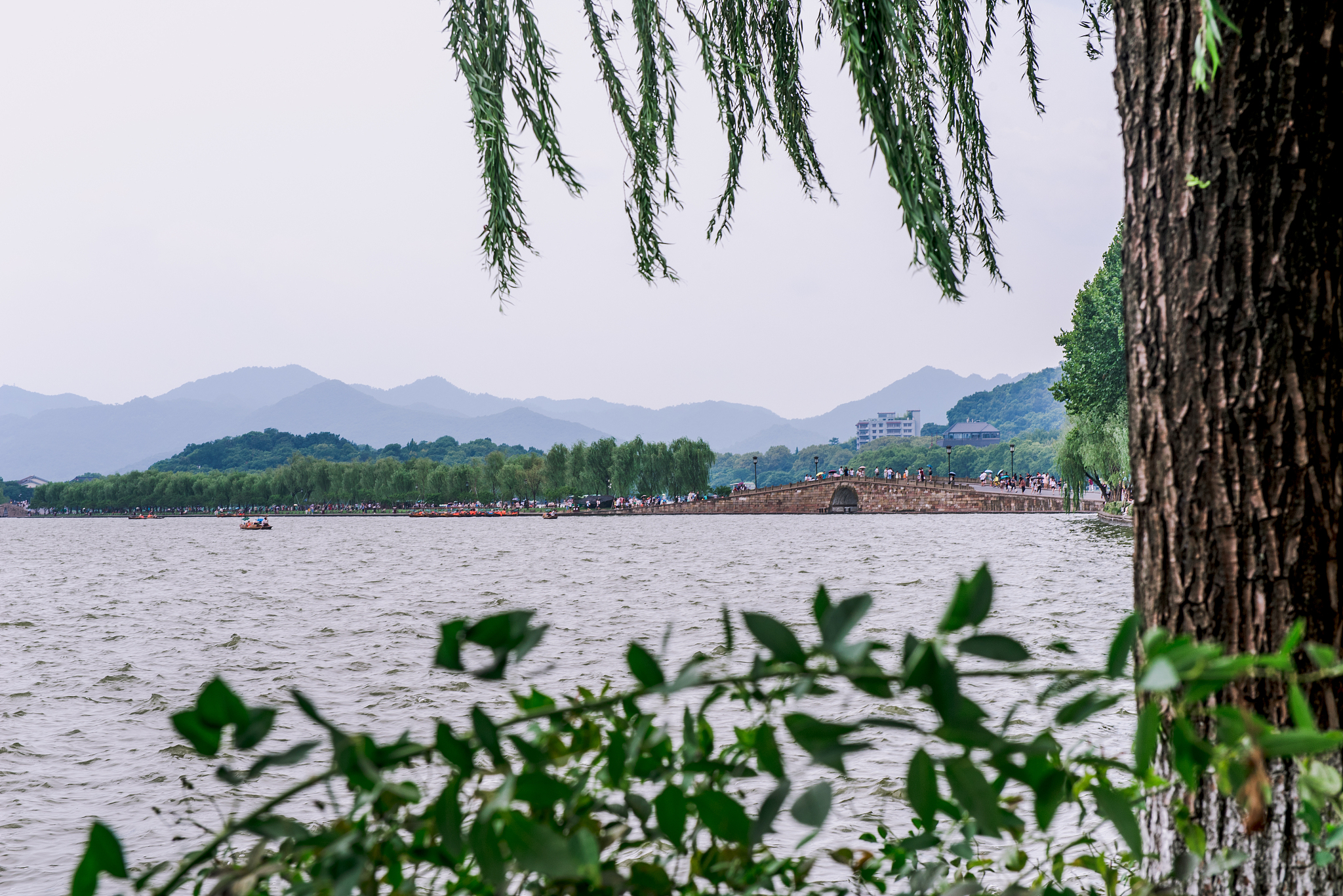 浙江莱斯博特科技有限公司的英文名