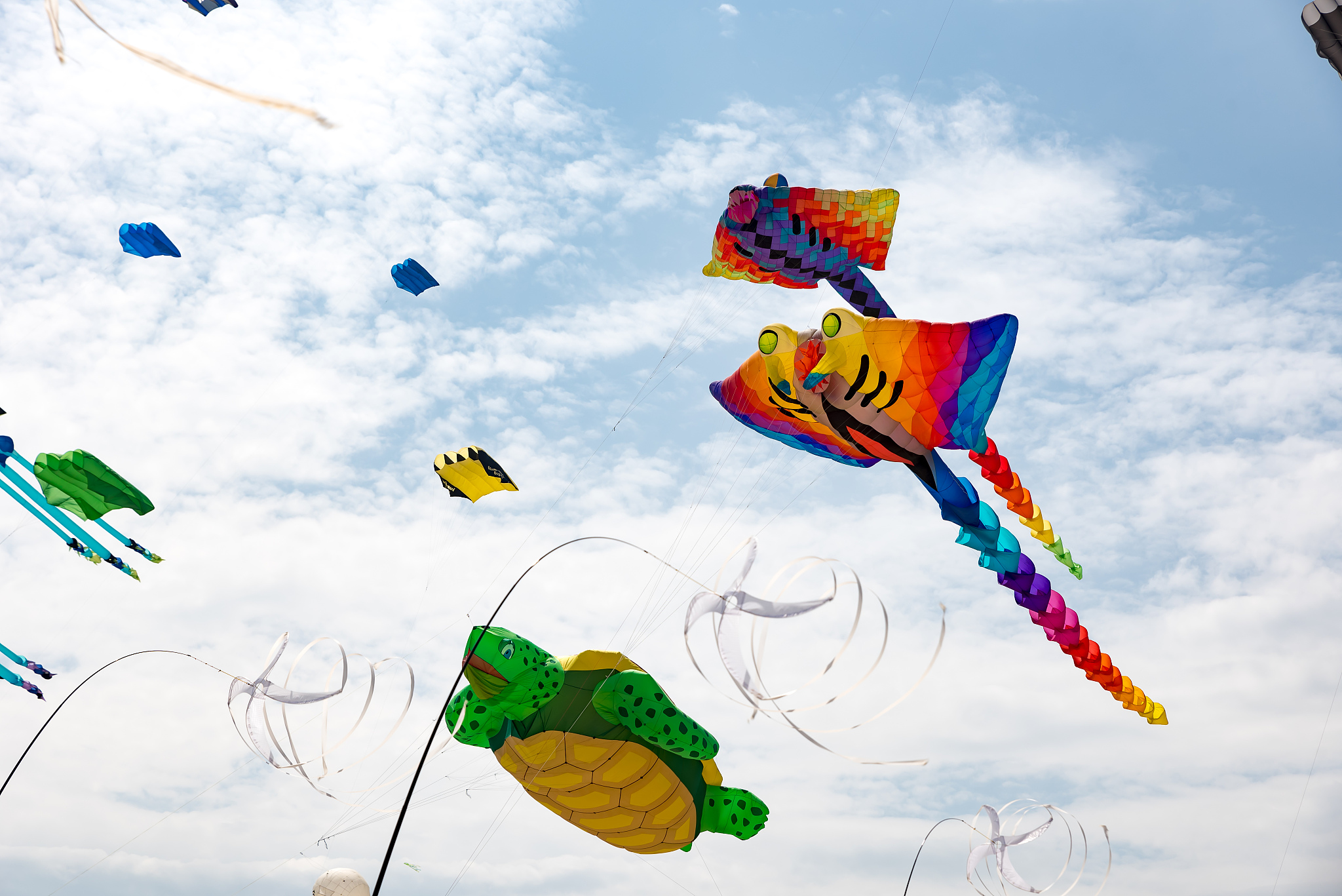 kites with blue sky and white clouds