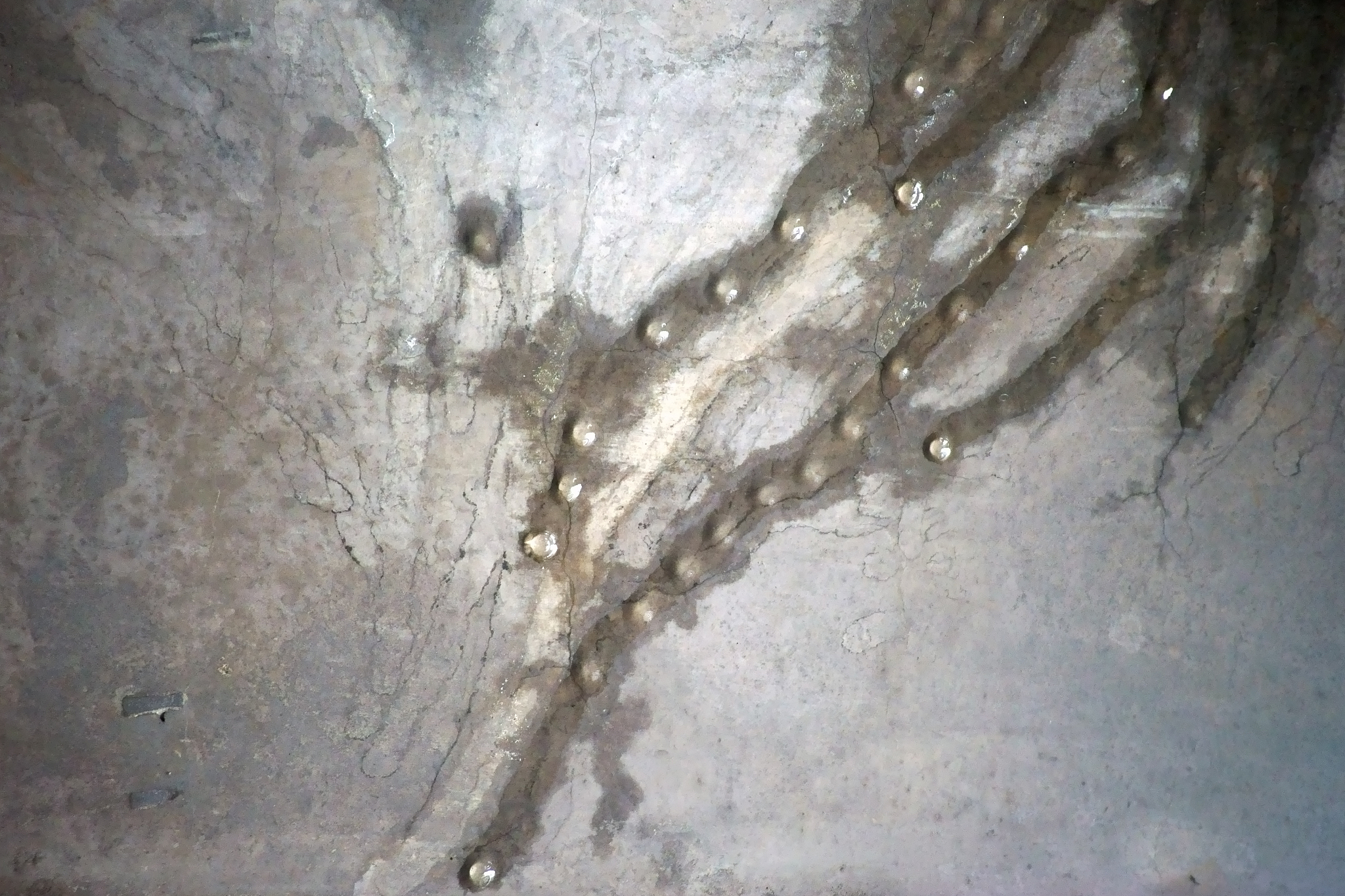 什么东西能腐蚀水泥