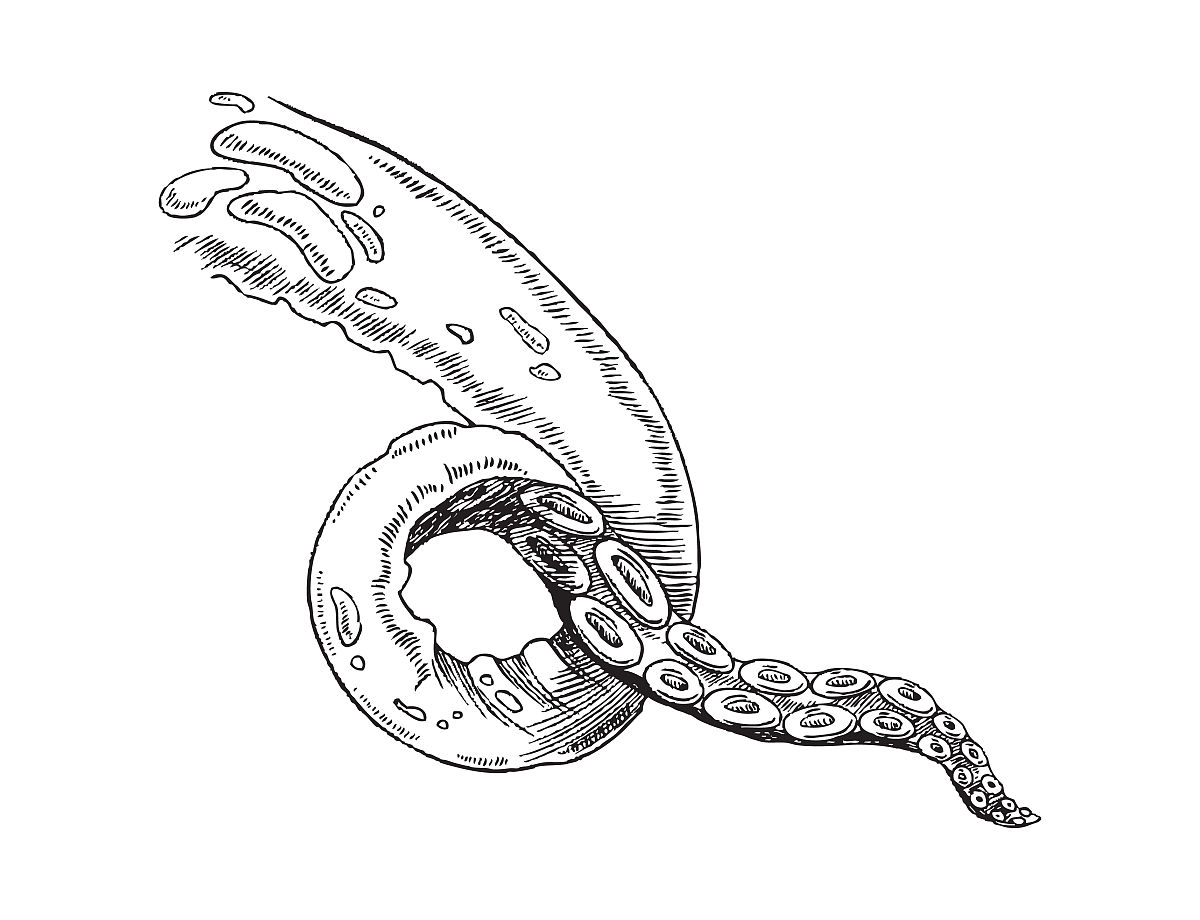 触手魅魔技能介绍：战场上的噩梦