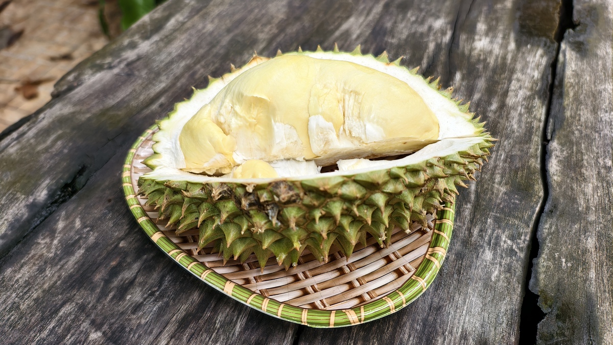 榴莲保存妙招：4种方法延长美味