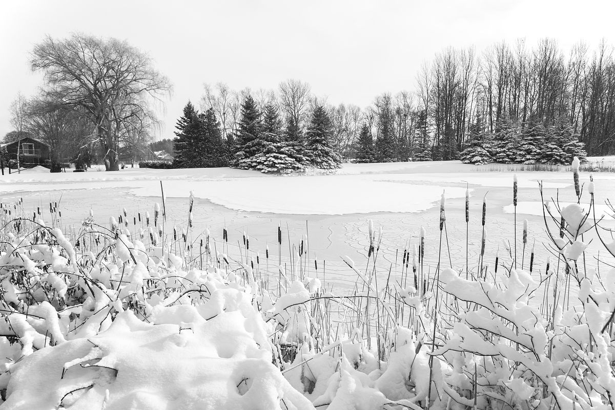 10句包含'只因'的华语流行歌曲歌词：表达爱意、思念与放弃