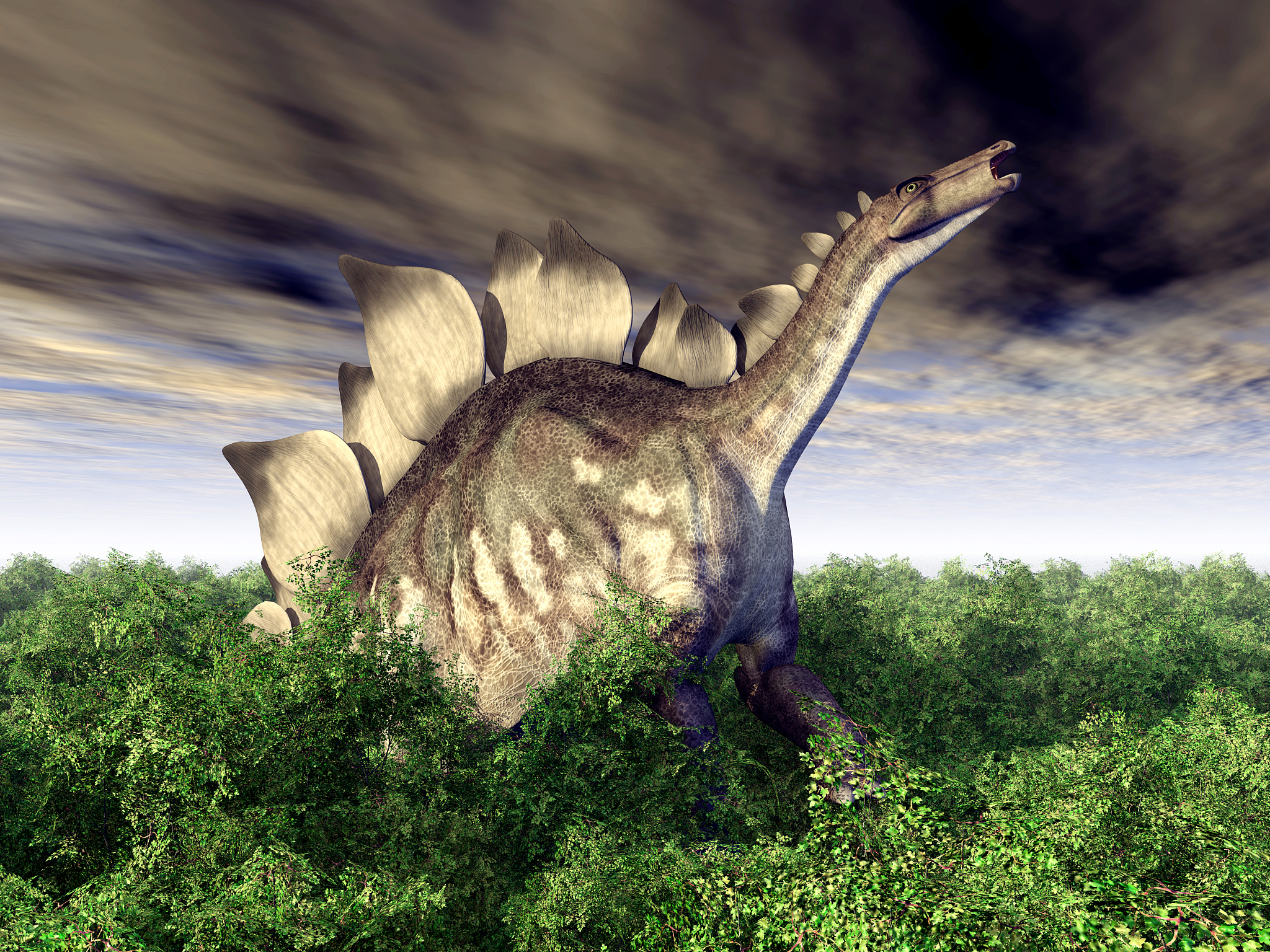 dinosaur stegosaurus