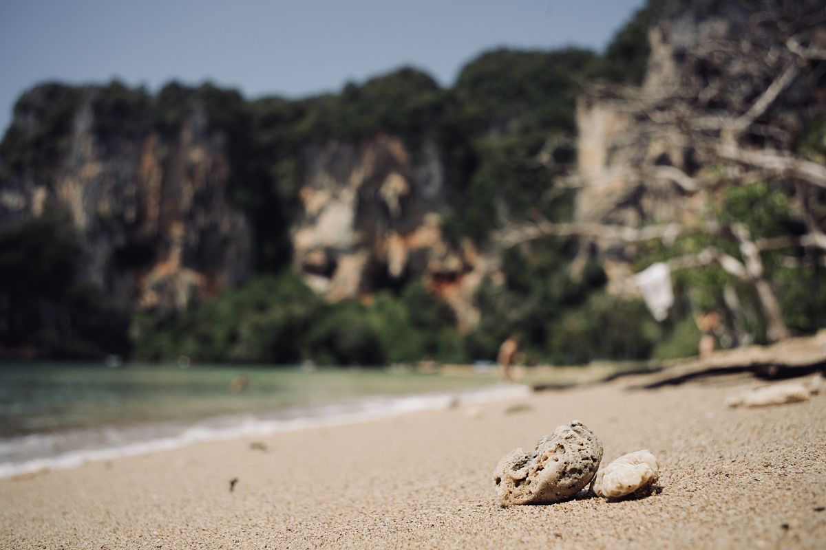 玉环中等职业技术学校专业设置 - 机电类专业发展前景广阔