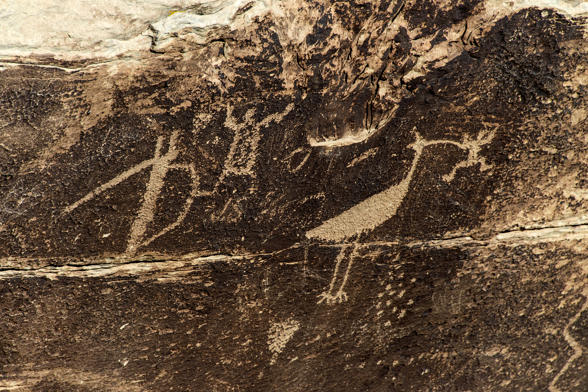 prehistoric rock art