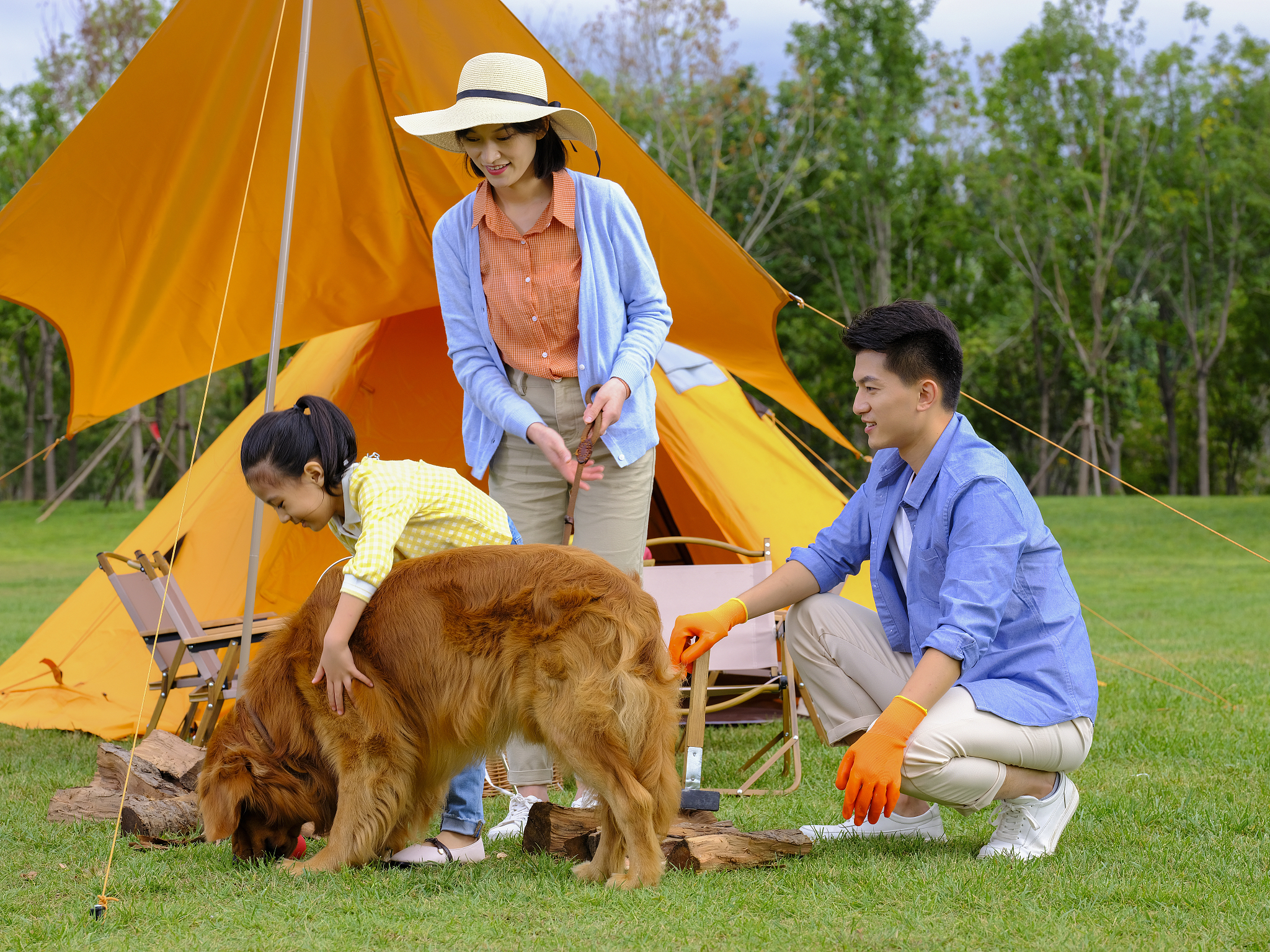 以宠物训练的重要性：培养良好的行为和社交技能为题写一篇1200文章