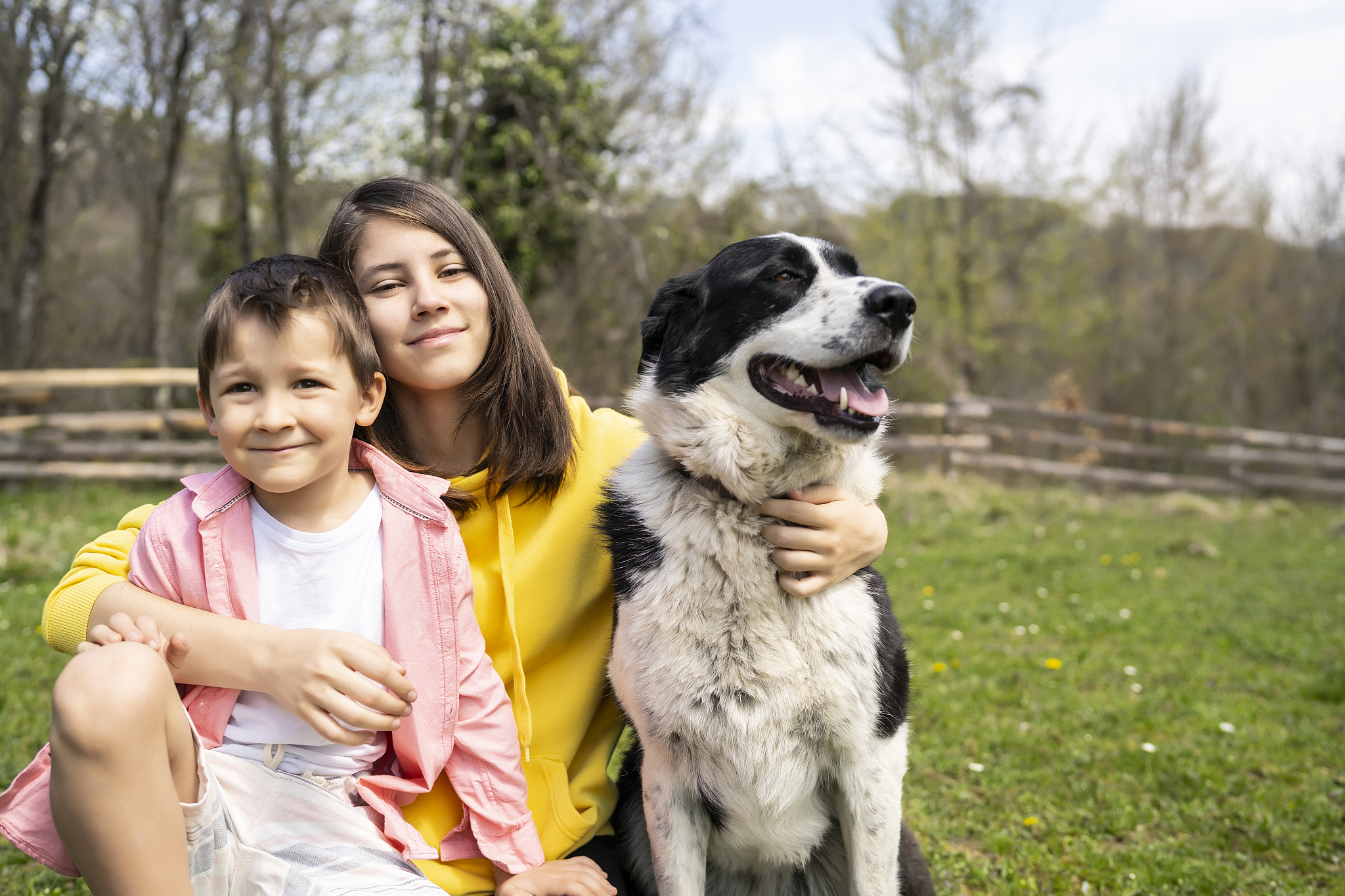 以如何训练你的宠物伴侣成为优秀的家庭成员为题写一篇1100文章