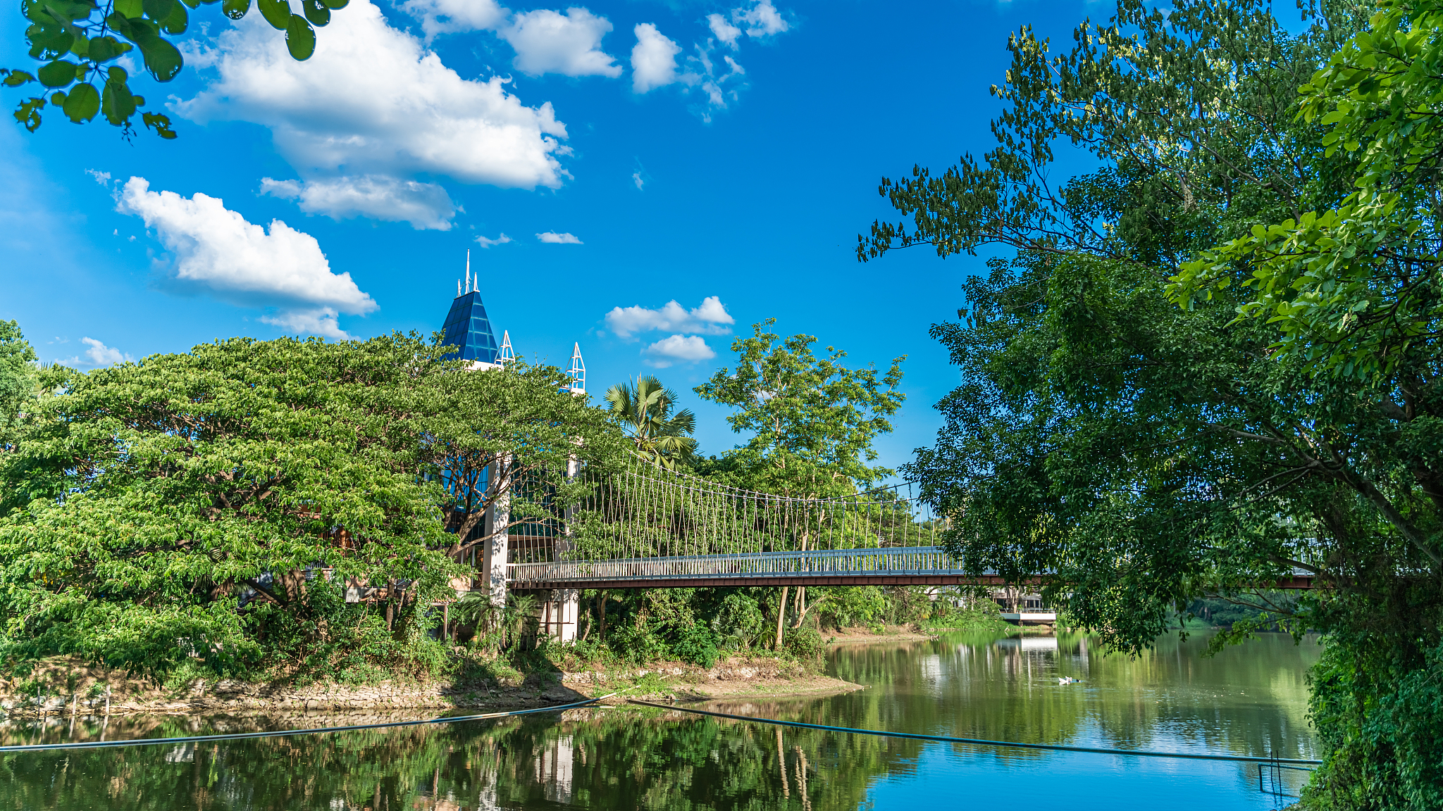 长春旅游攻略：景点、美食、购物、交通、住宿全方位指南