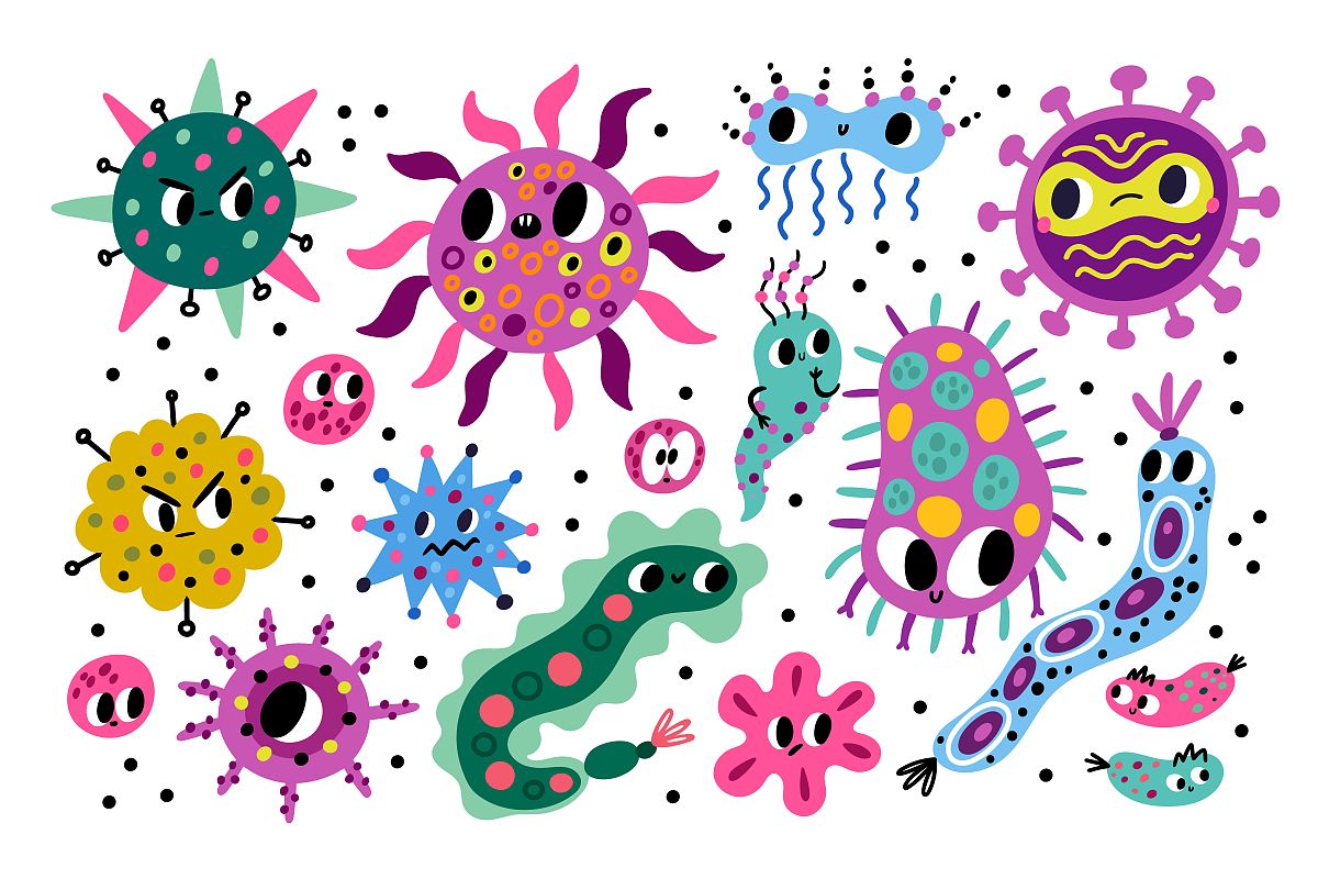 谁是国际生物化学与细胞生物学杂志的现任主编？