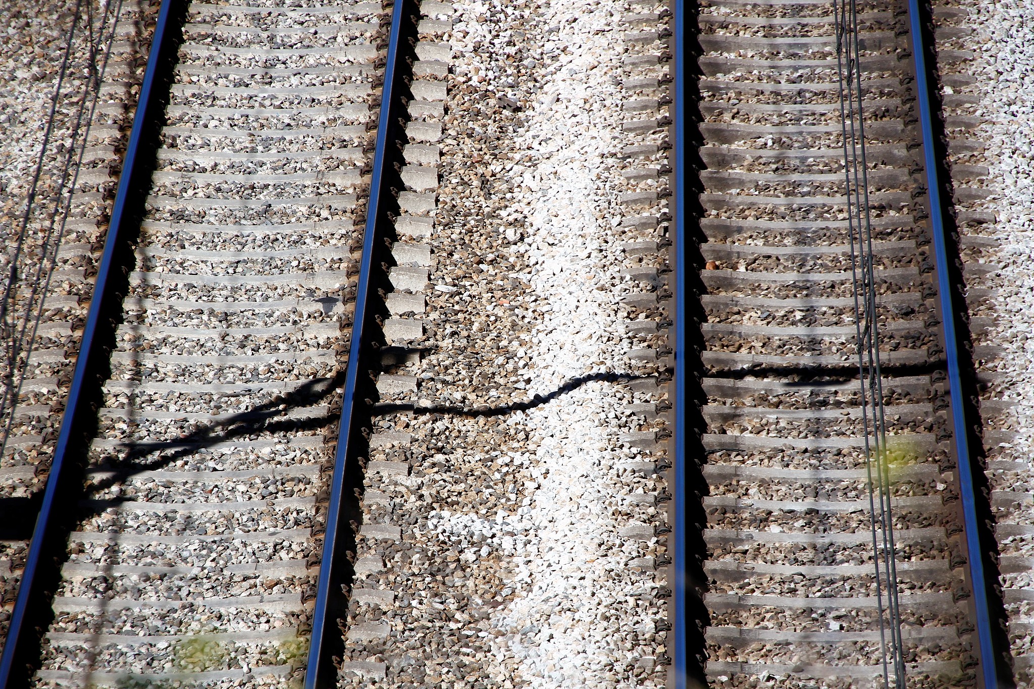 贵州轻轨学校浅析高铁在夜间不开行的缘由
