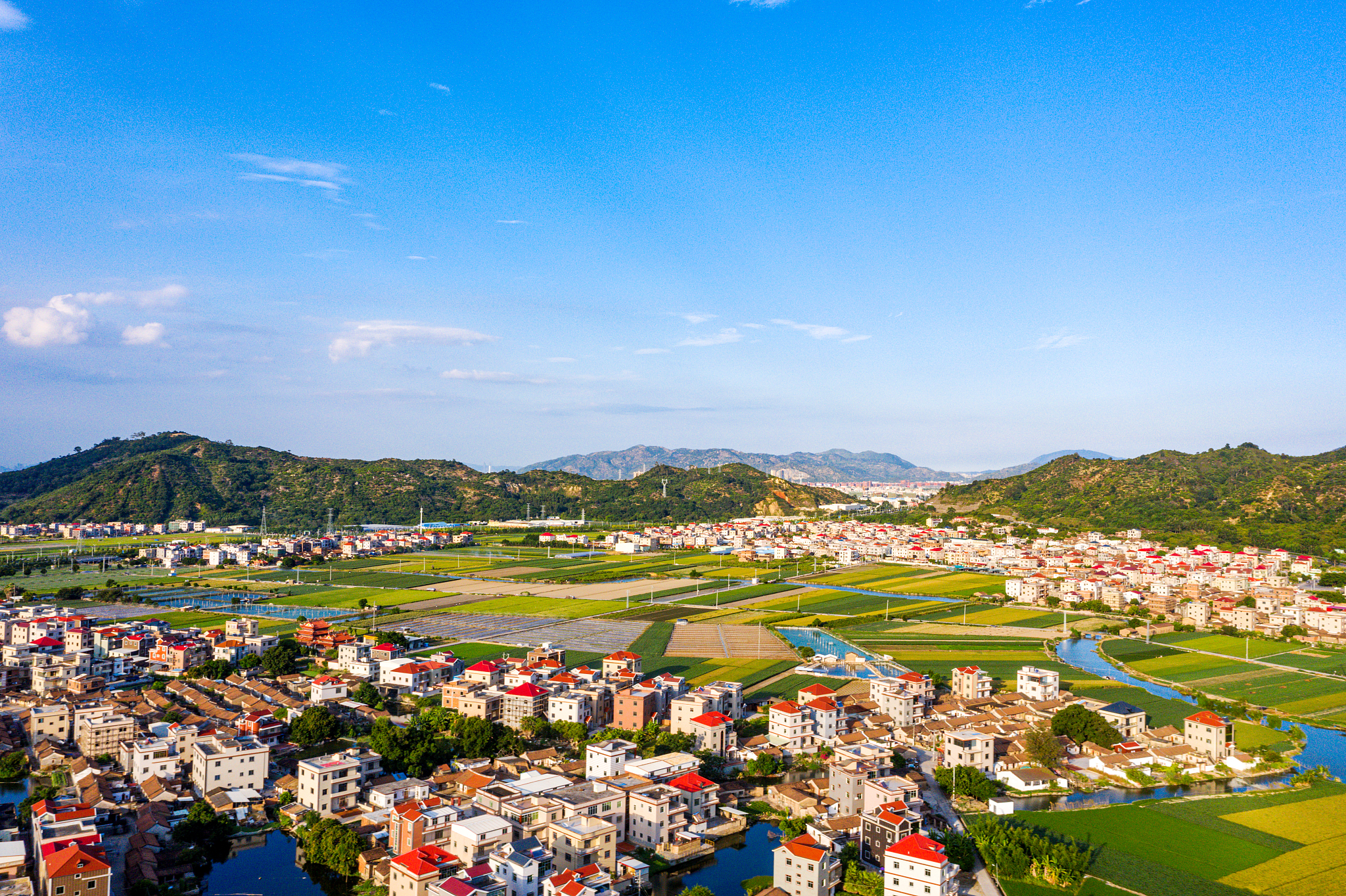 广东从化区&浙江平湖市人居环境治理经验：借鉴案例与成功秘诀