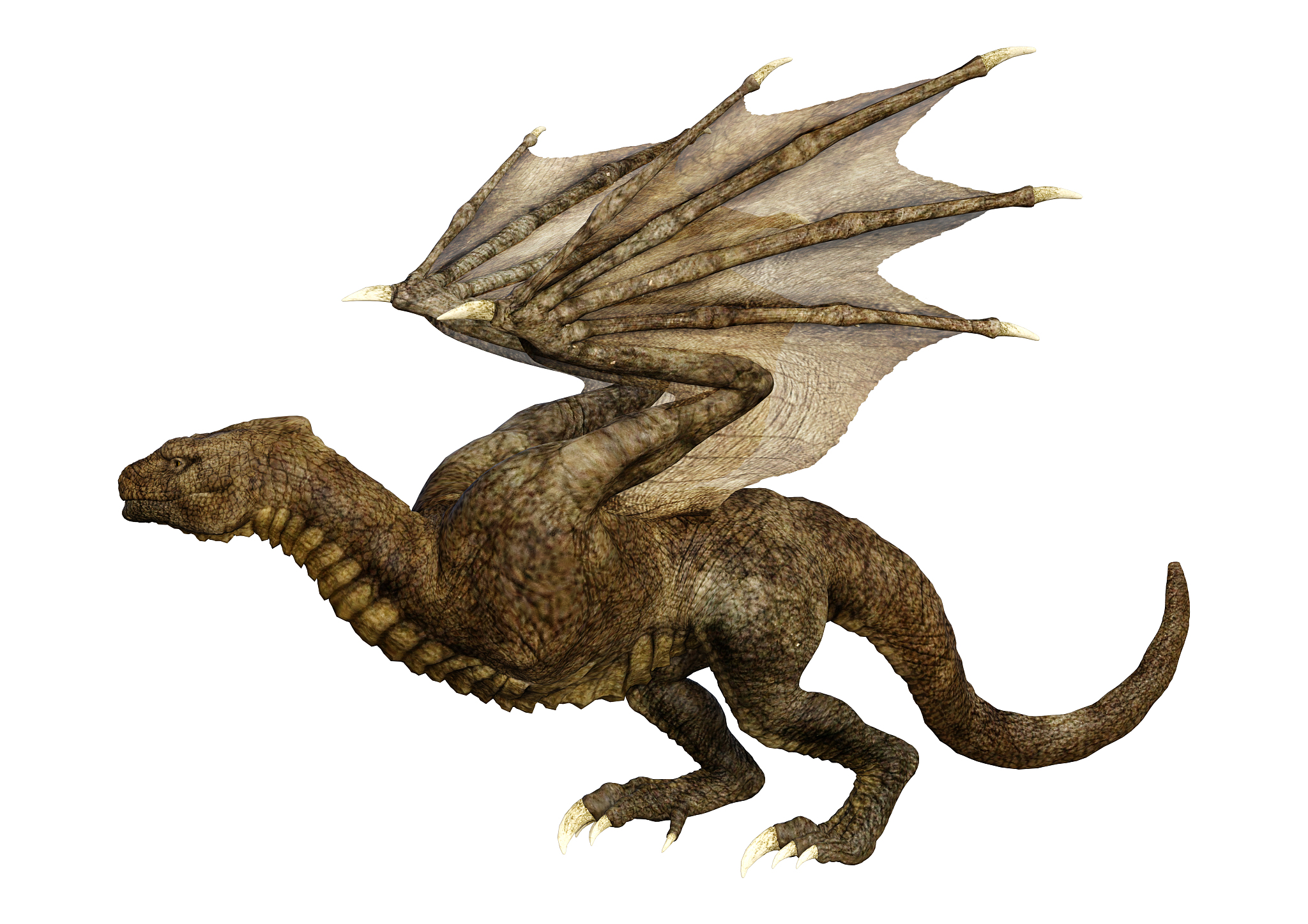 3d illustration fantasy dragon on white