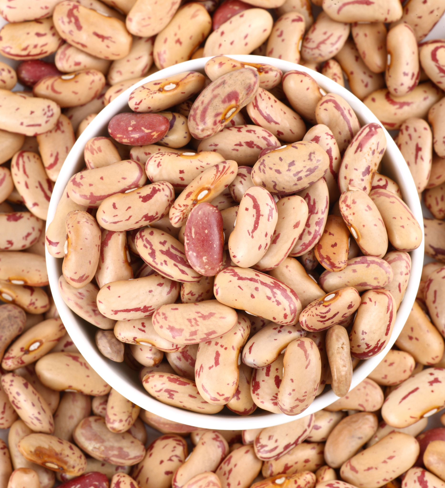 黑龙江林业职业技术学院食品营养与检测专业好就业吗