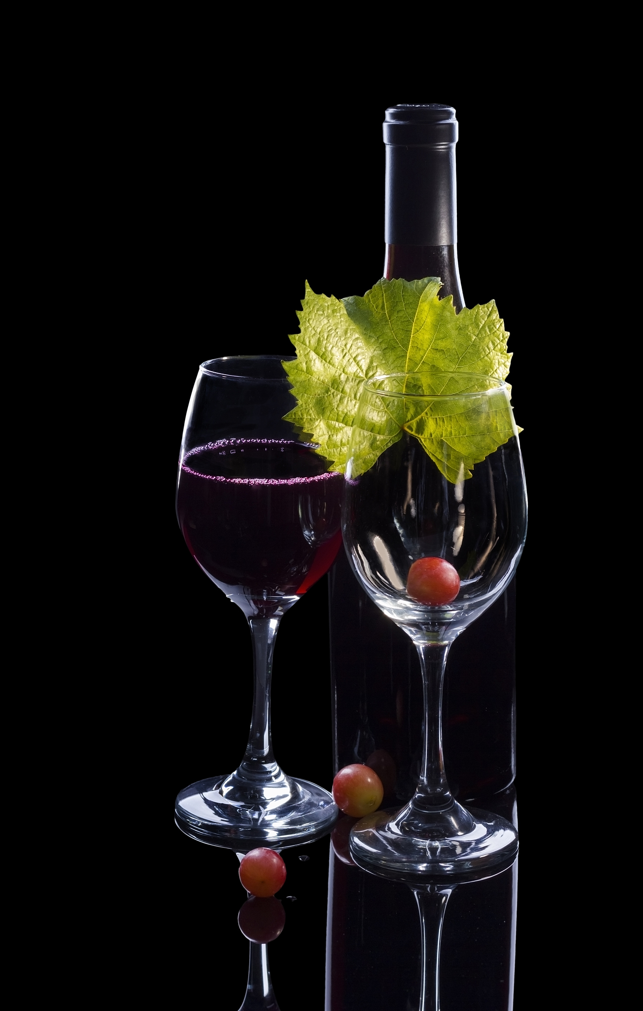 甘肃农业大学葡萄与葡萄酒工程专业怎么样