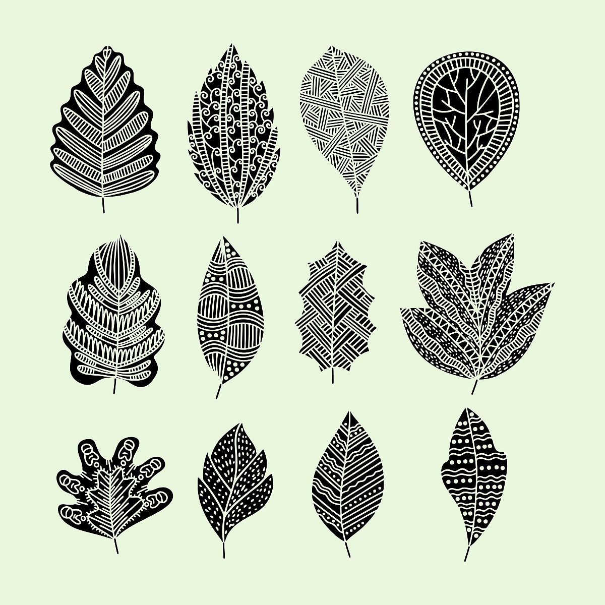 植物肌理元素设计前期准备