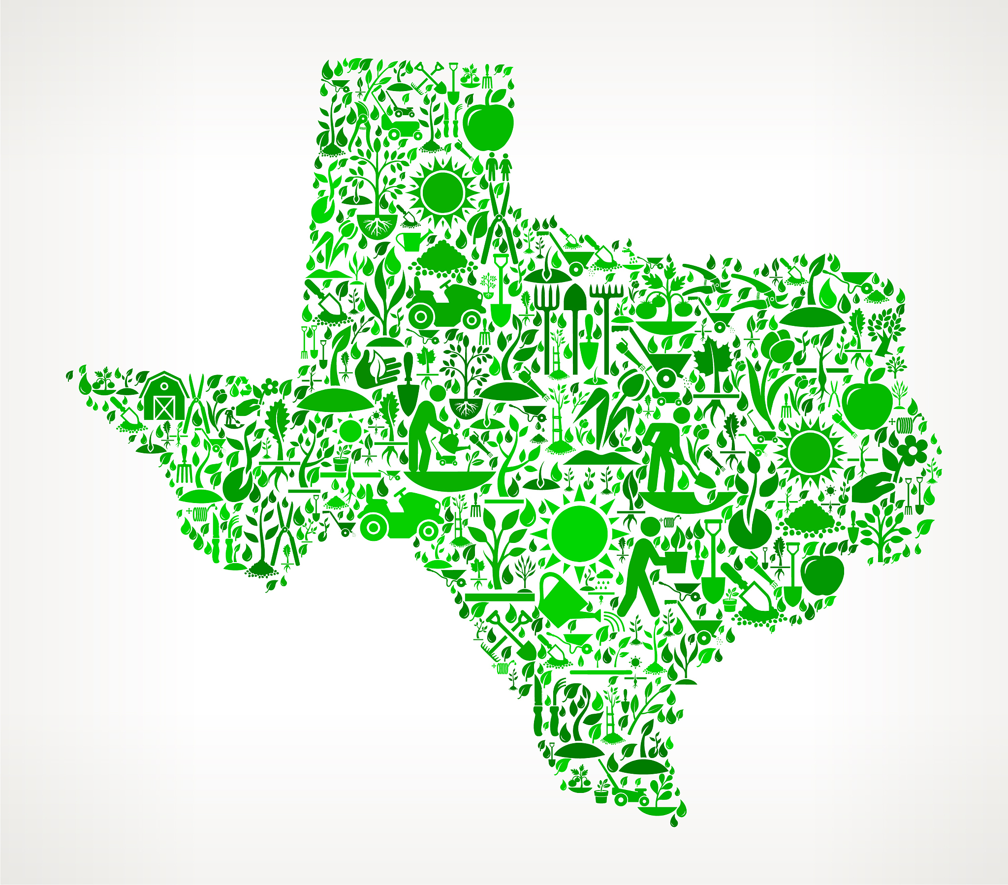 texas garden and gardening vector icon pattern