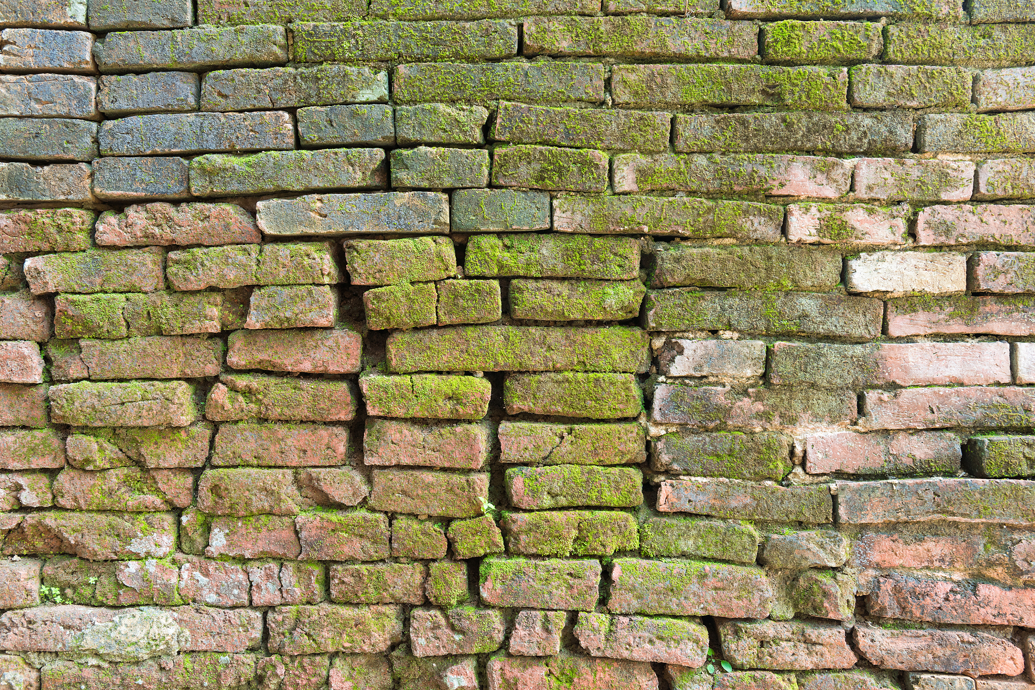 brick wall