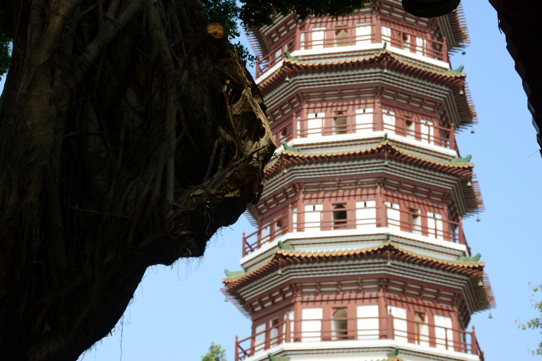 旅游管理专业自荐书 | 热爱旅游，渴望贡献