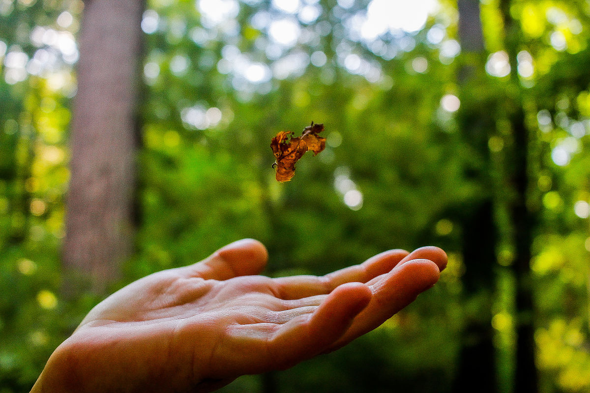 100个WWE励志文案25字中文