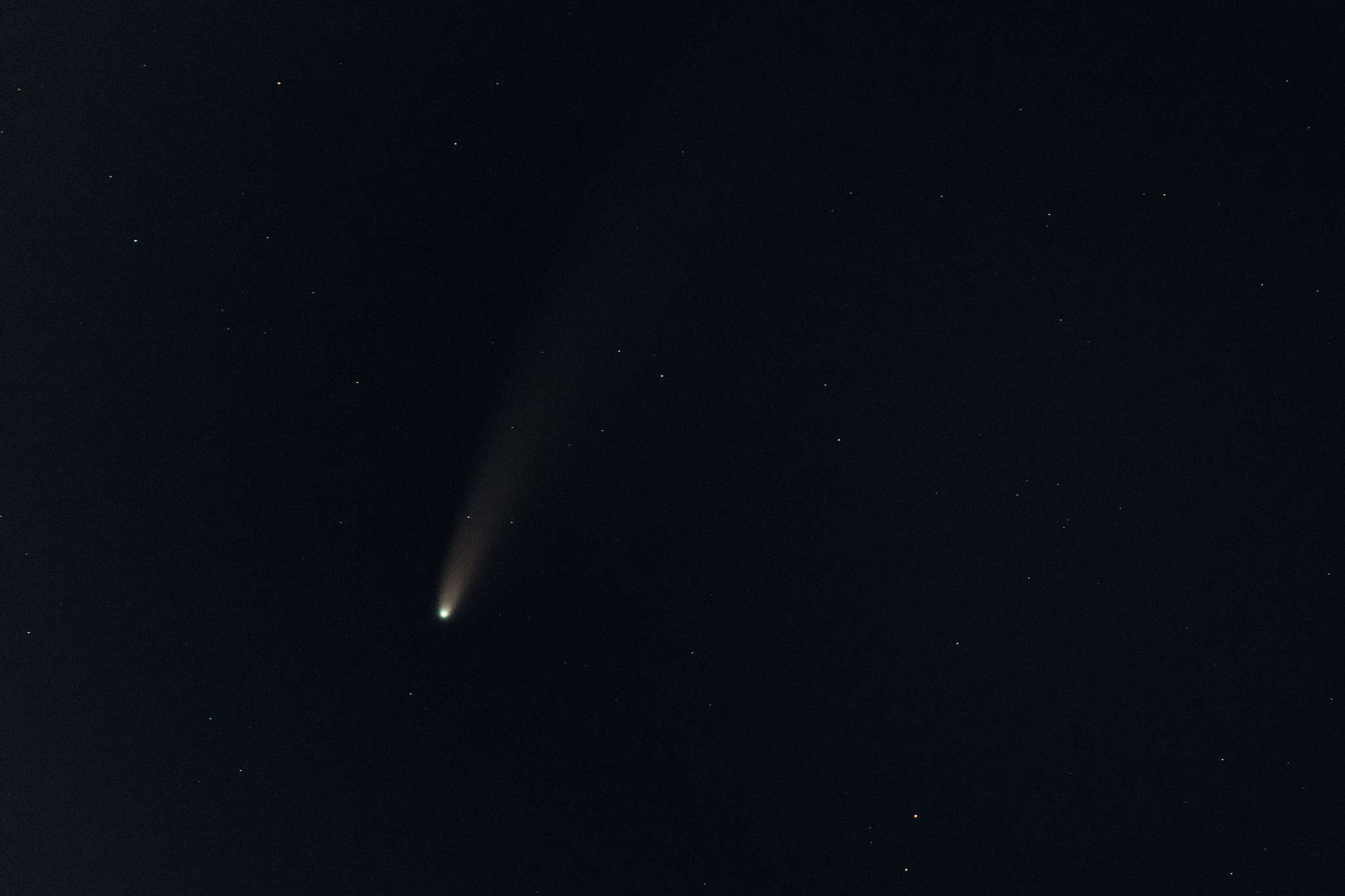 neowise comet