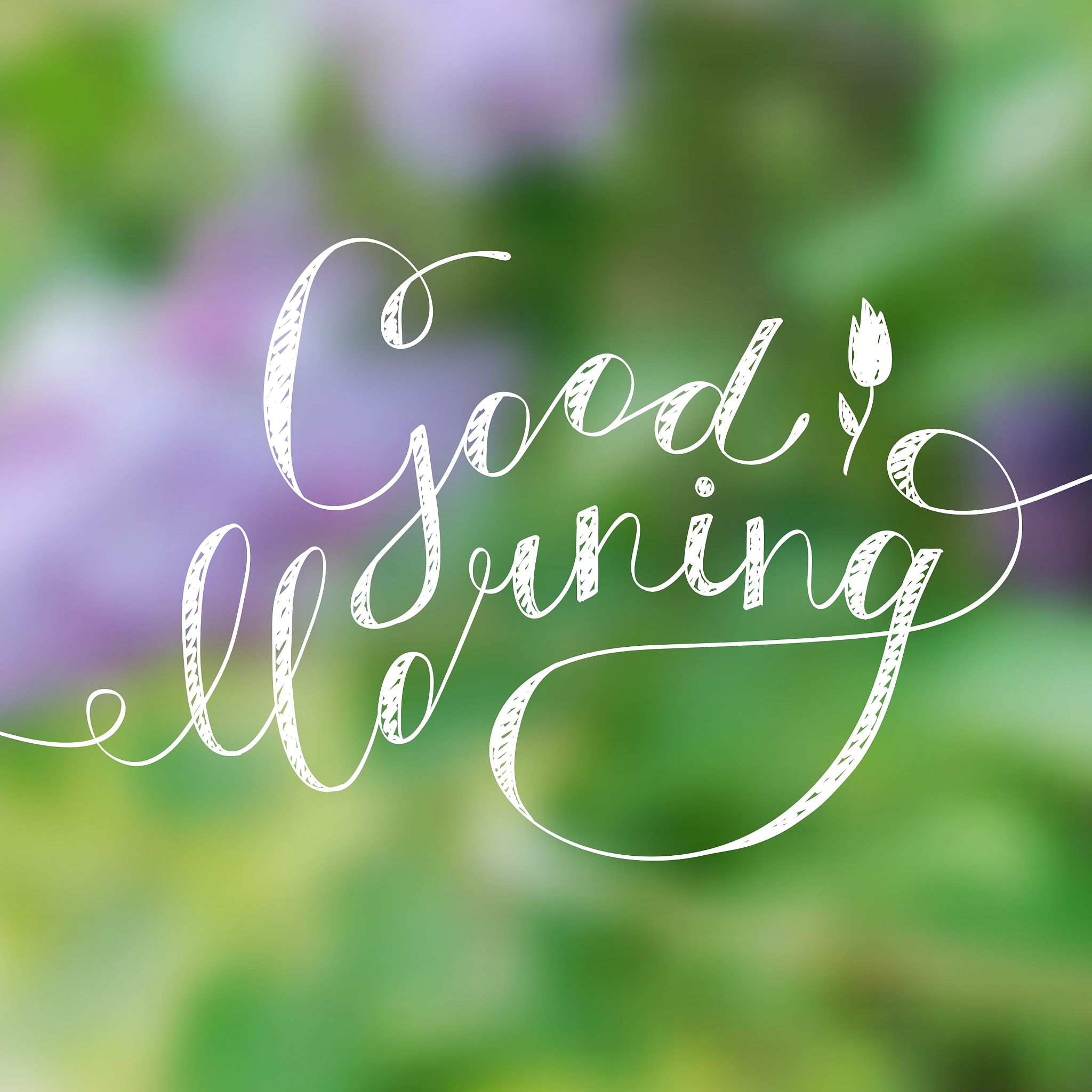 Wednesday morning greetings