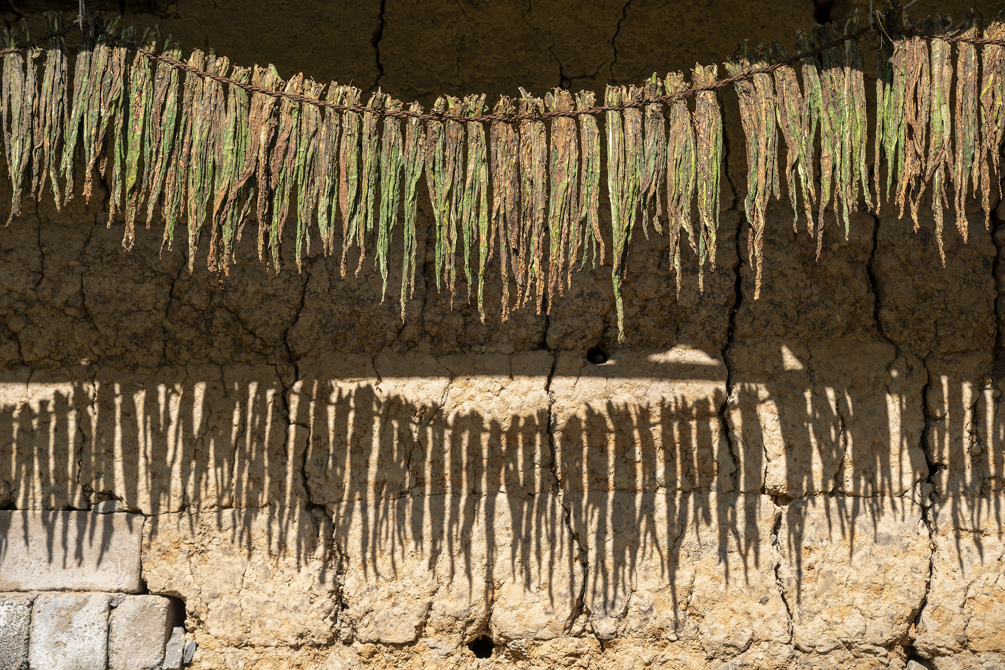 烟叶质量控制管理的有效途径研究 写一篇较长的论文结论