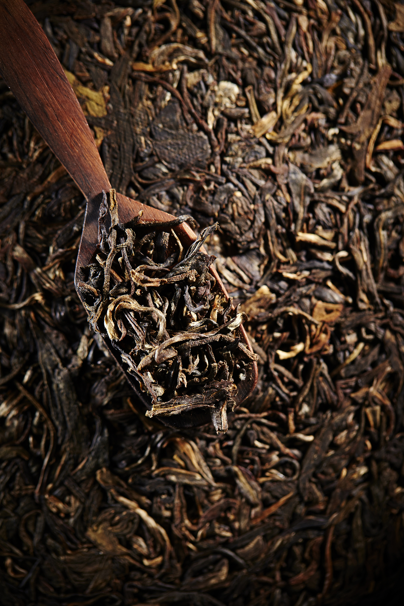 古树红茶包装写一段文案