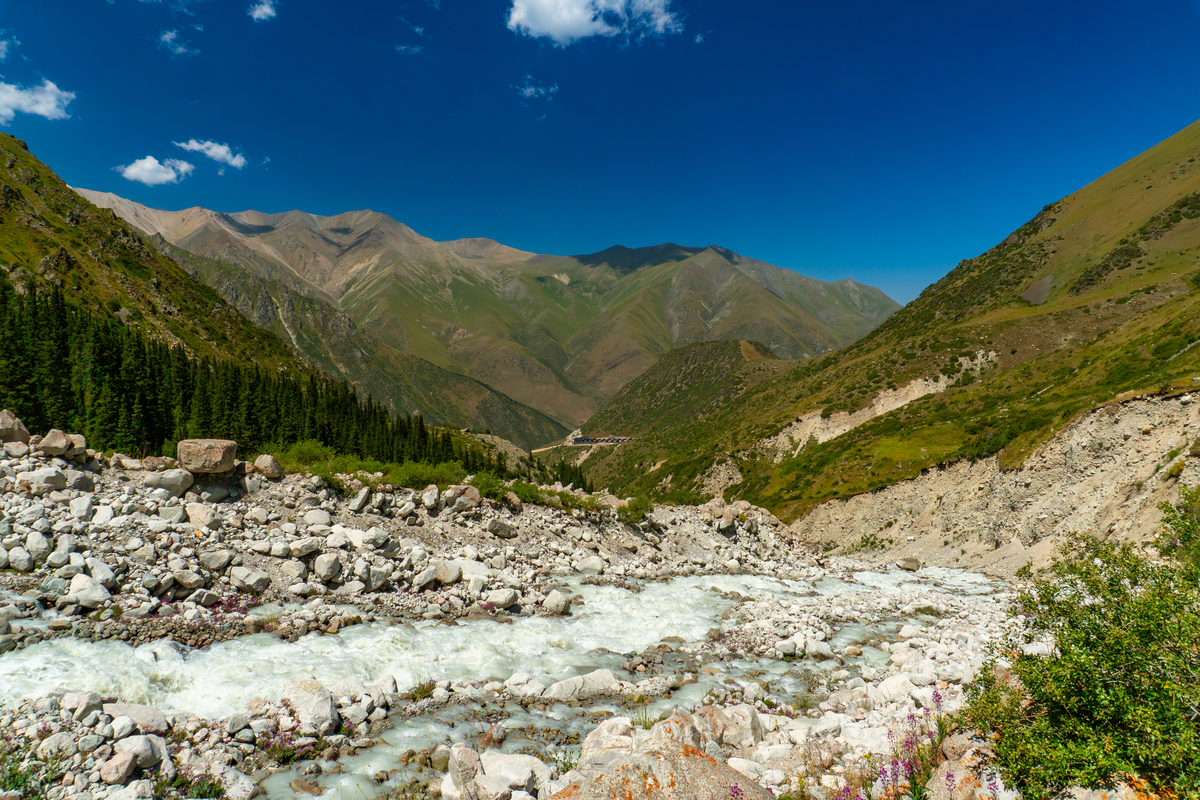 ARAL能组成什么单词？完整列表