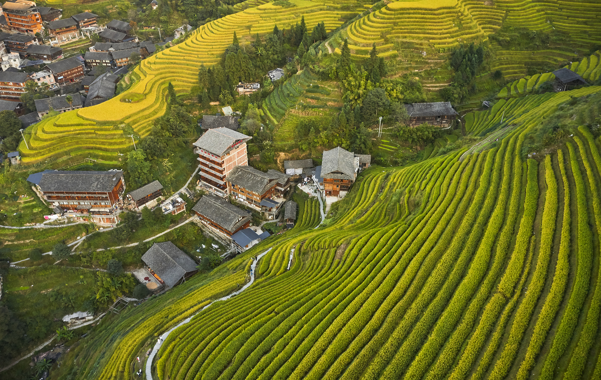 哈尼梯田：文旅课程的绝佳议题，探寻文化、生态与发展