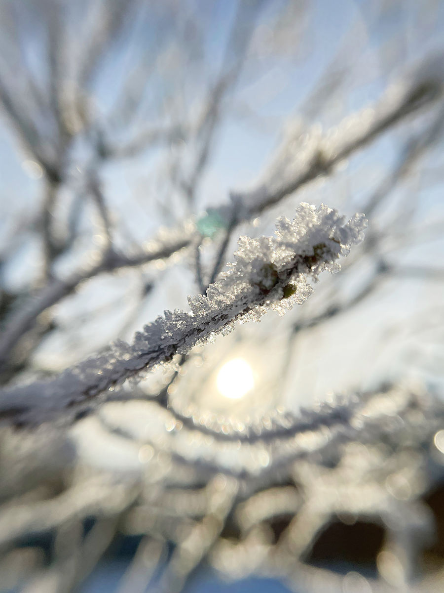 请帮我写1篇650字的博客文章主题是：初雪的唯美短句