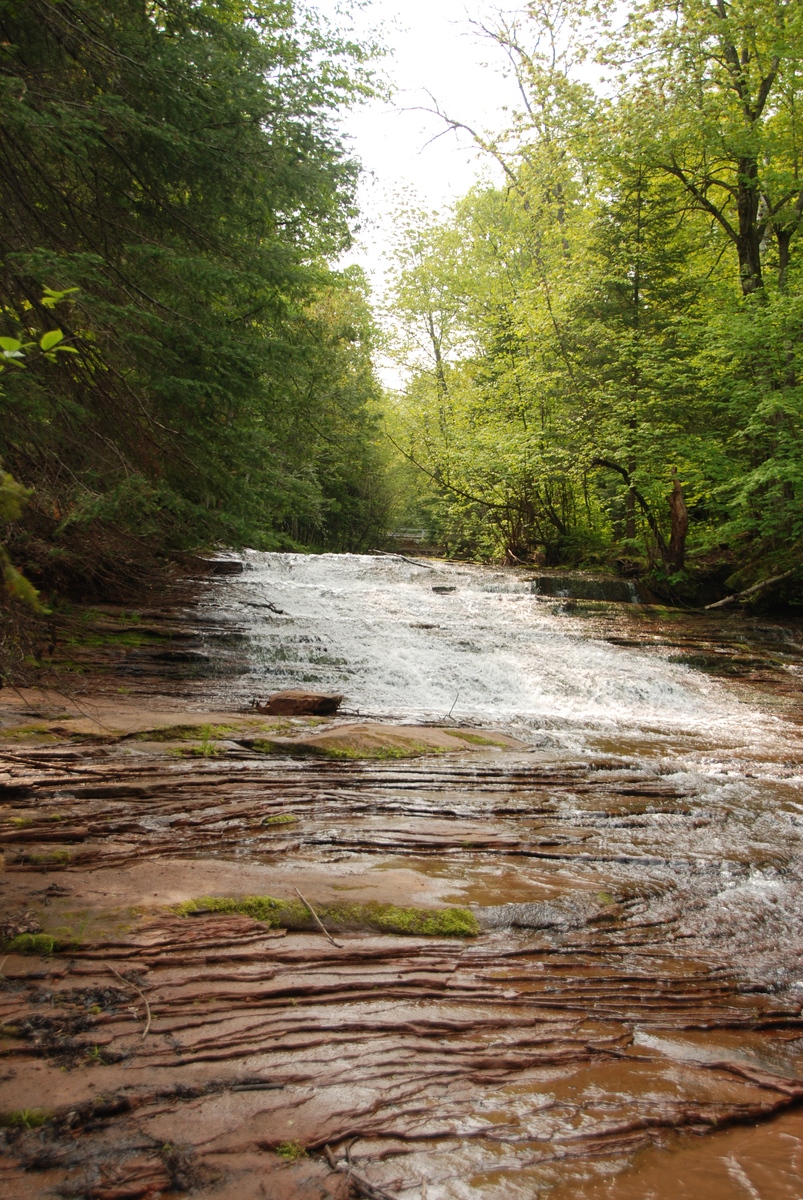 带 T 的男性名字：时尚且独特