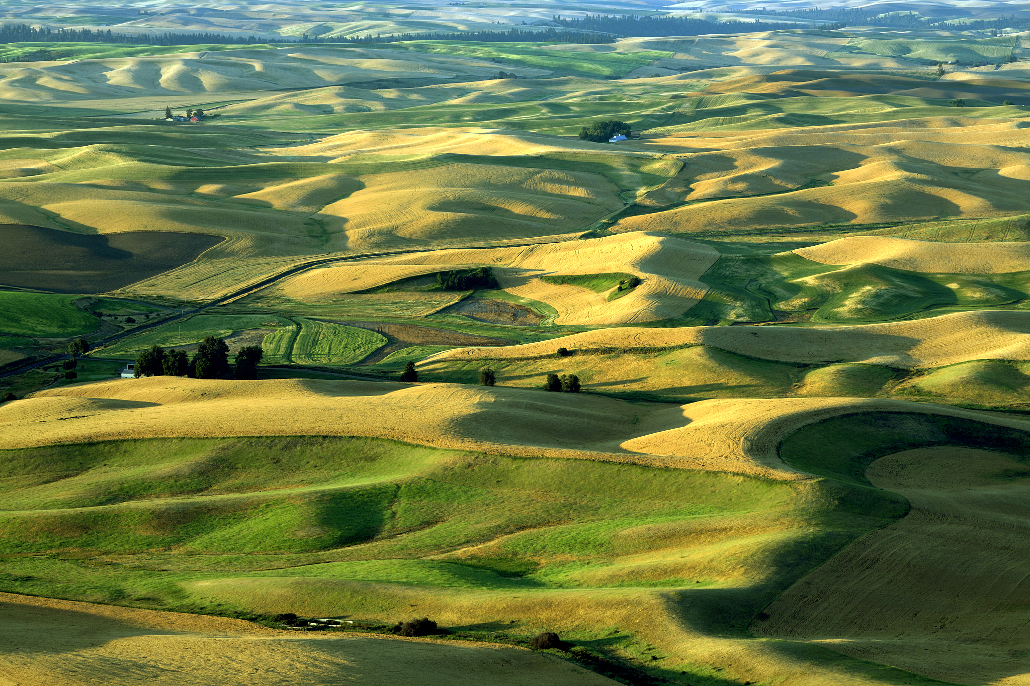 american farmland - the palouse rolling hills