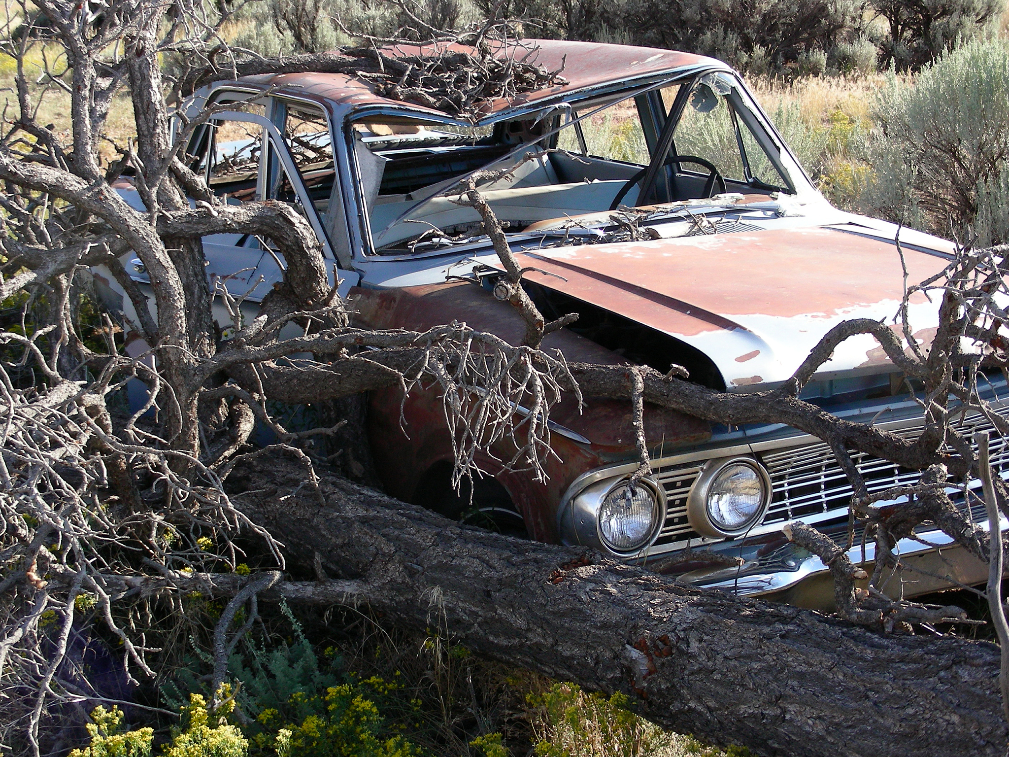 UAV Algorithms: Unleashing the Power of Autonomous Flight