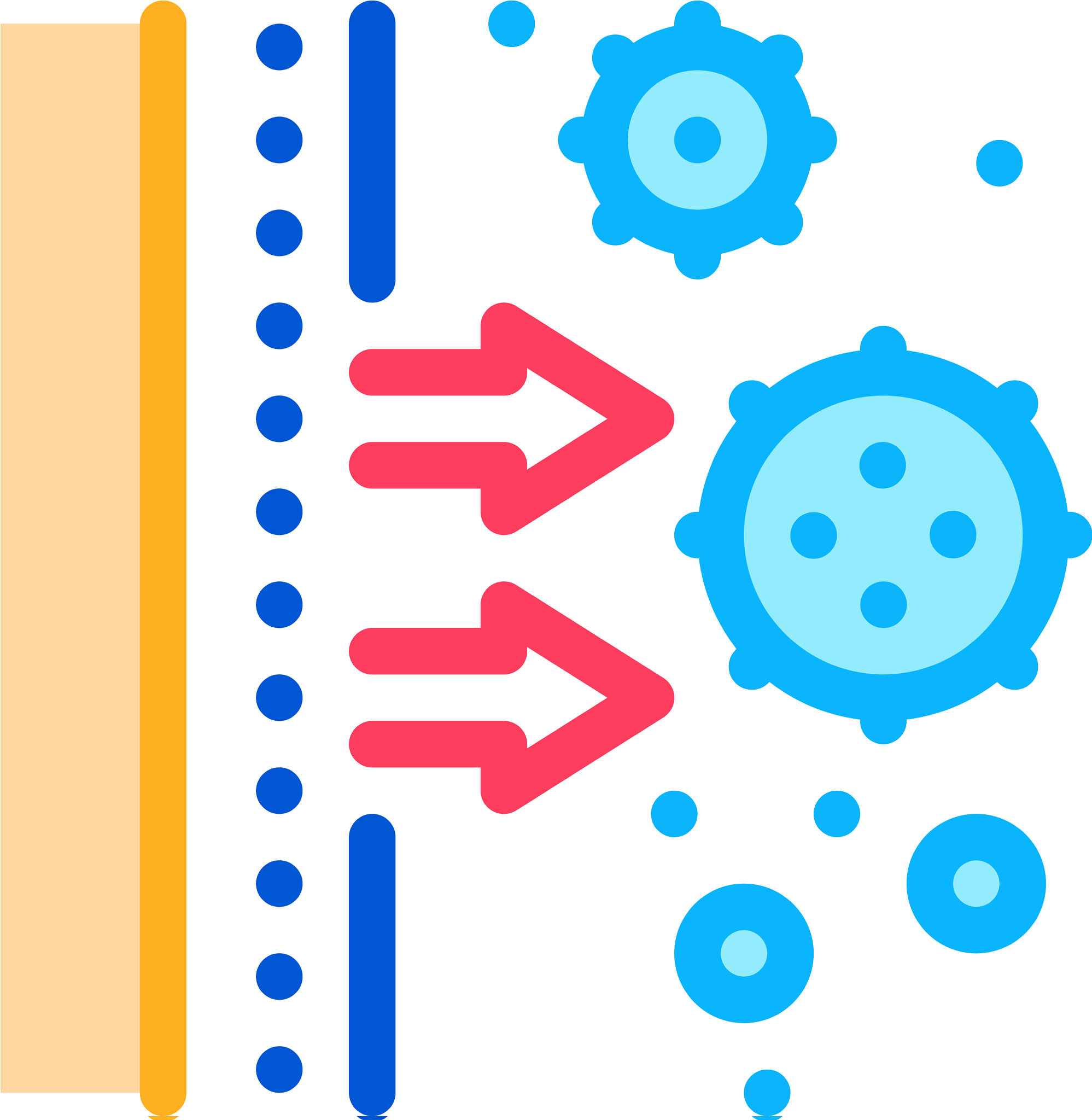 皮下注射人免疫球蛋白研发项目：临床试验风险及注意事项 - [网站名称]