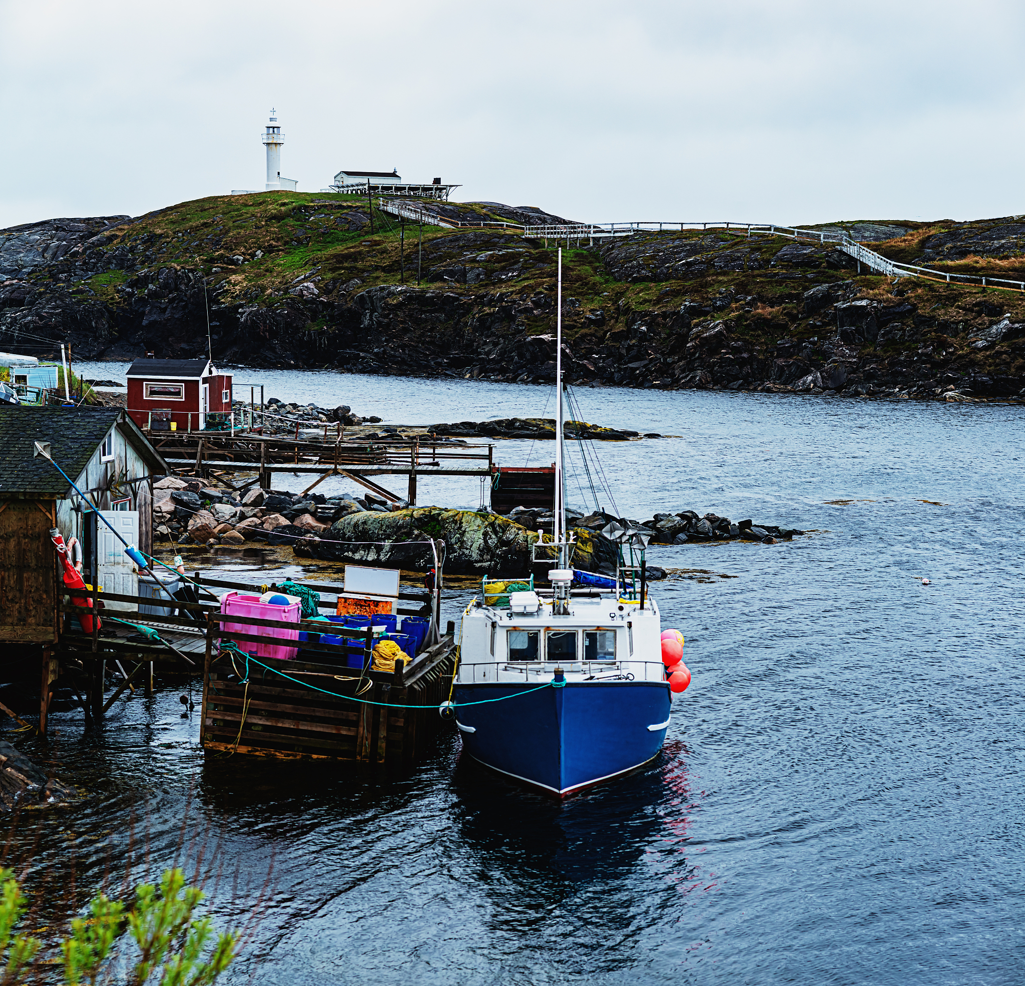 加拿大渔业与水生科学杂志 (CJFAS) - 权威学术期刊推荐理由