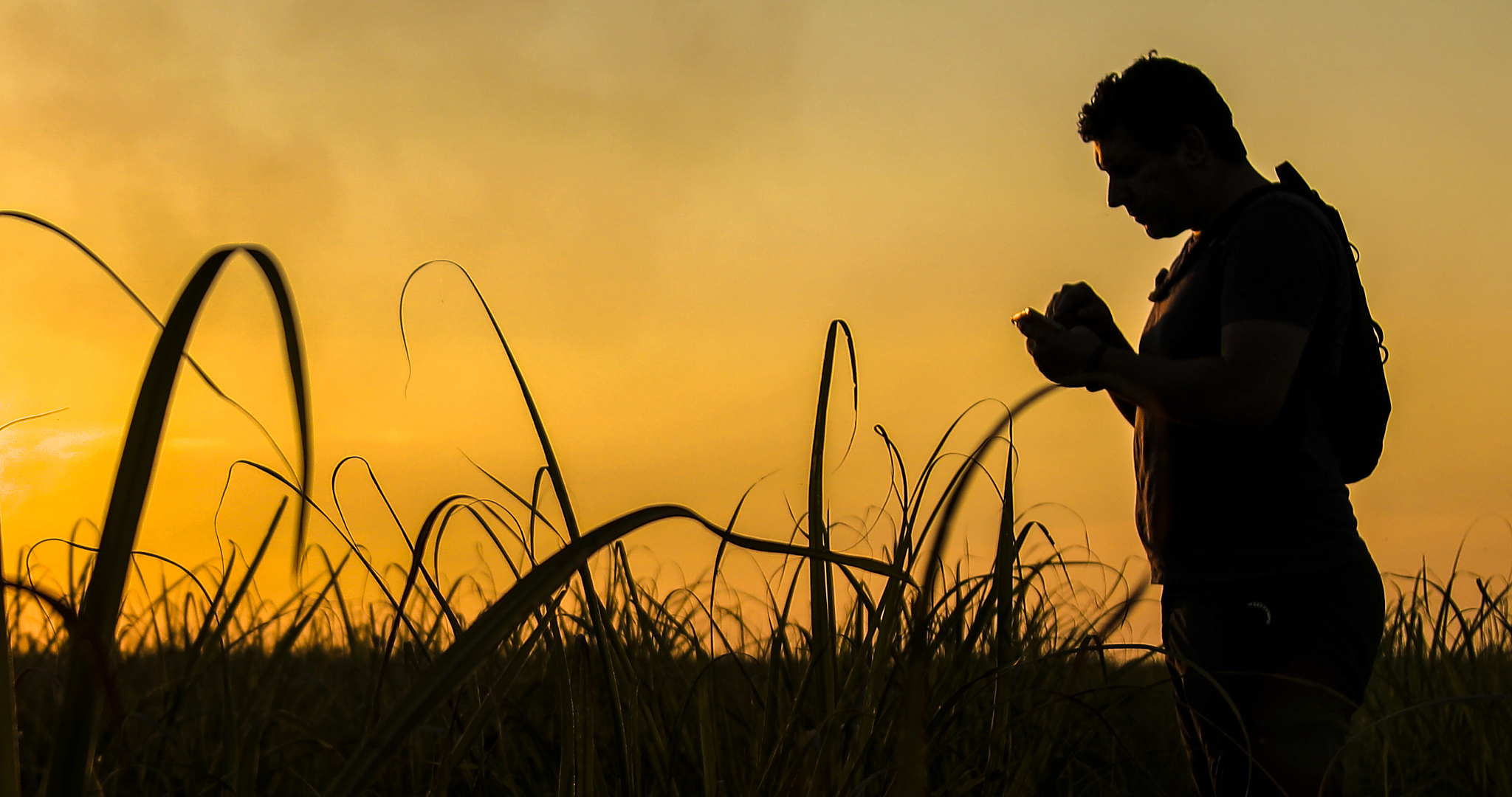 厦门农业管理：农学与管理学的交叉学科