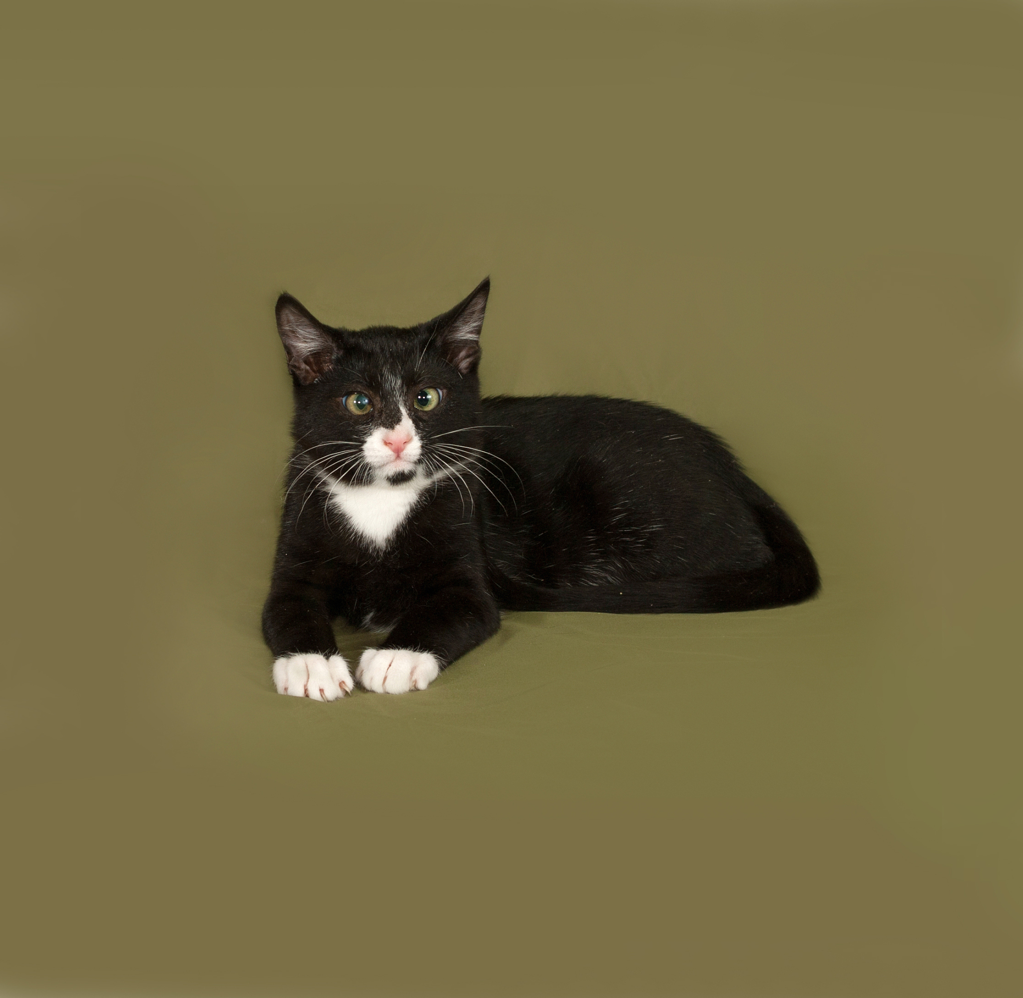 瓮安职业技术学校畜牧兽医专业招生简章 | 2022年入学