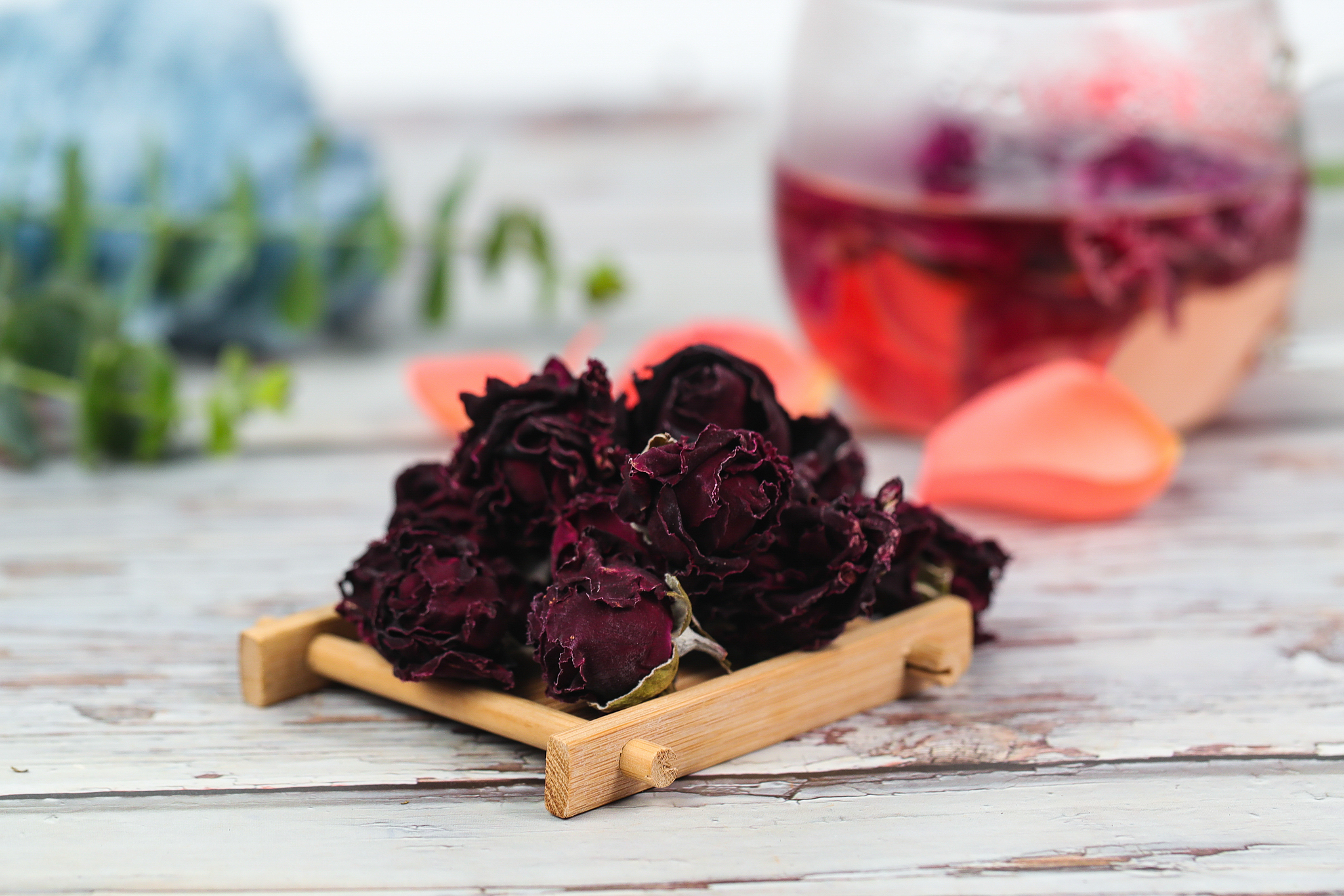 鲜月季花可以泡茶吗，