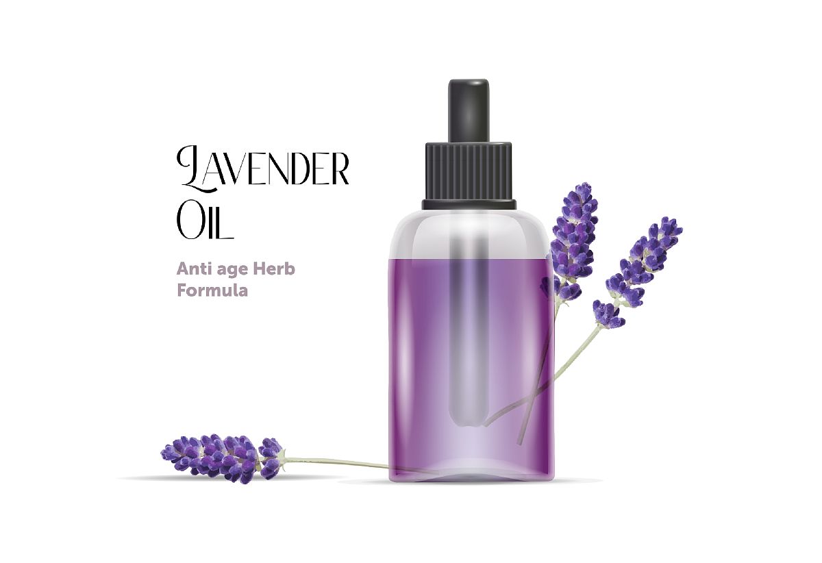 2020年重庆商务职业学院商务管理专业招生