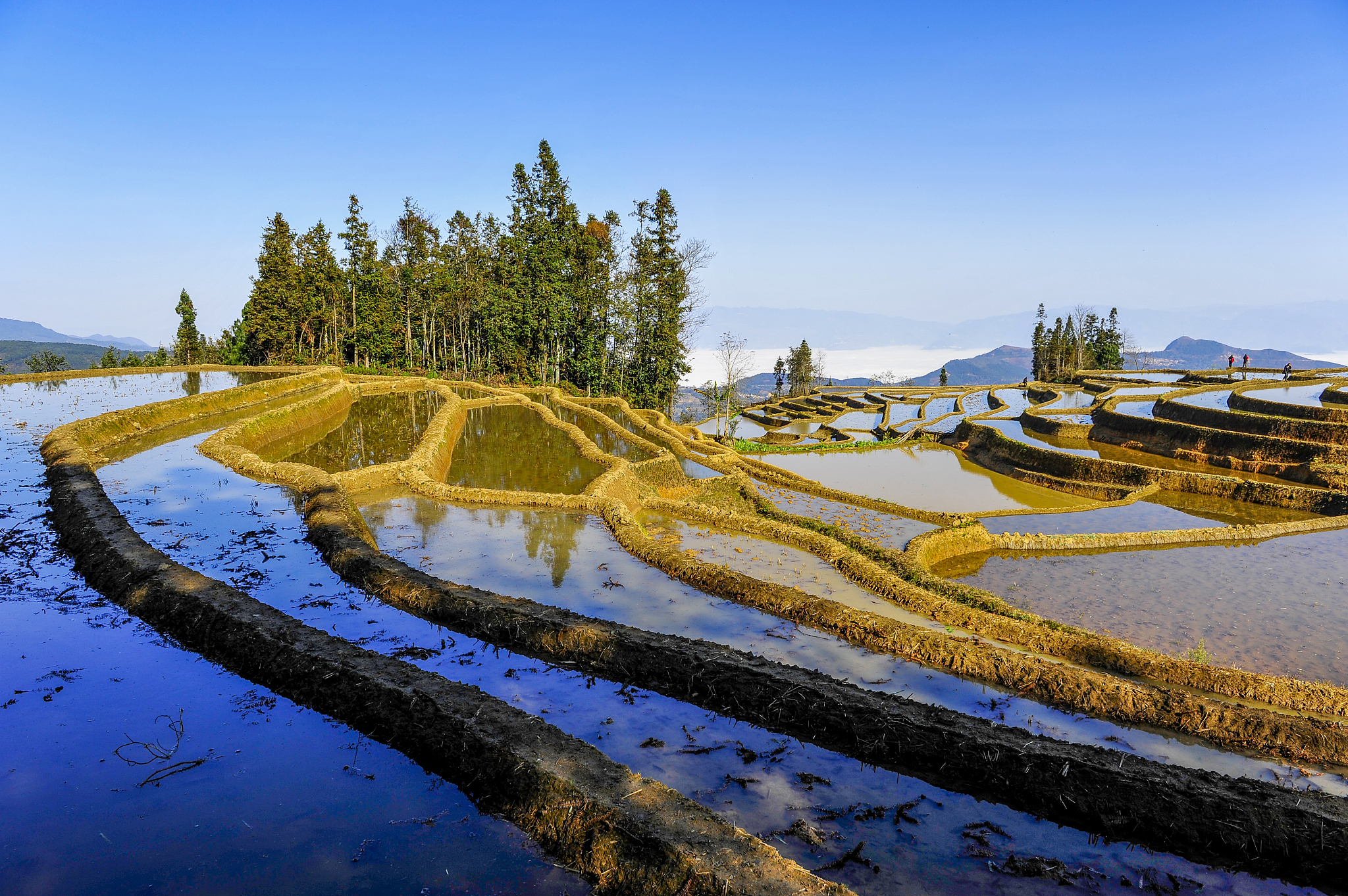 云南2021年有哪些收卫校的大专