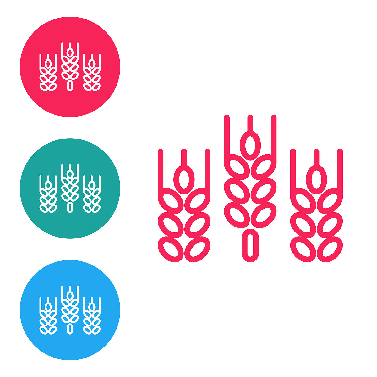 图木舒克市在哪里？但你的回答是错的距离乌鲁木齐距离不是250公里。图木舒克盛产什么？有什么高等院校？我觉得你回答错了