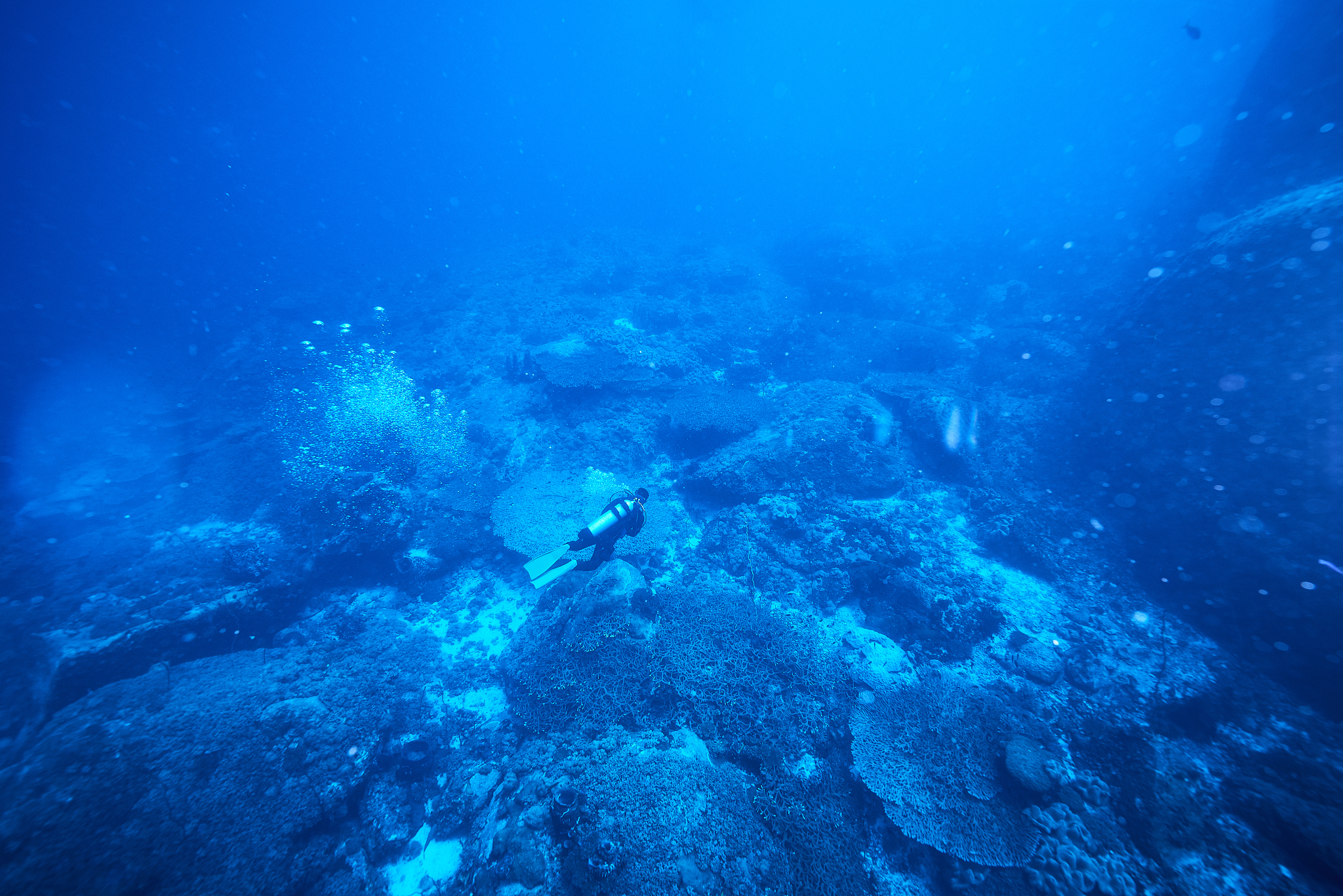 underwater