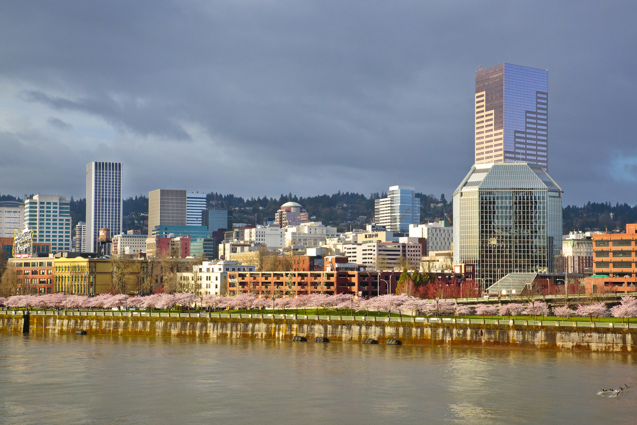 storm over portland and willamette river, portland, oregon.