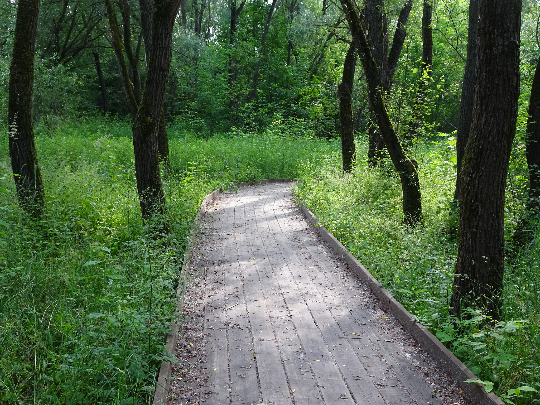 山西林业职业技术学院招生专业有哪些有计算机信息管理专业吗