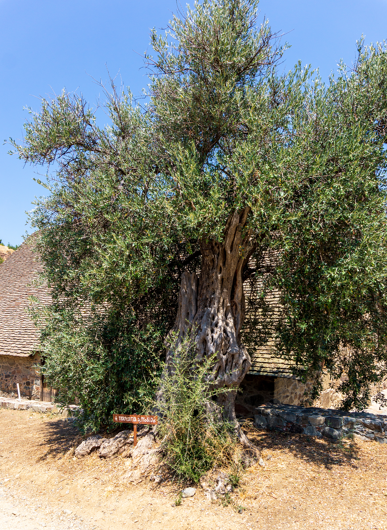 临洮农业学校园林技术专业怎么样