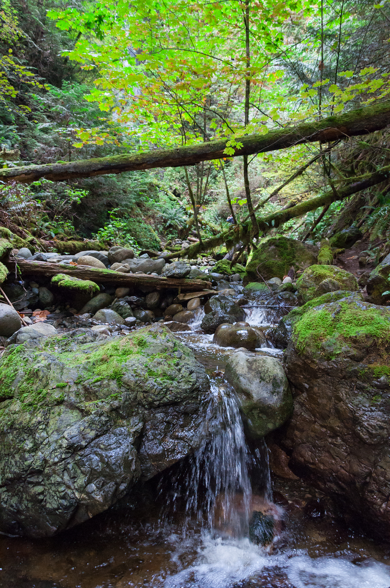 瀑布、急流的判断安全计算位置计算速度