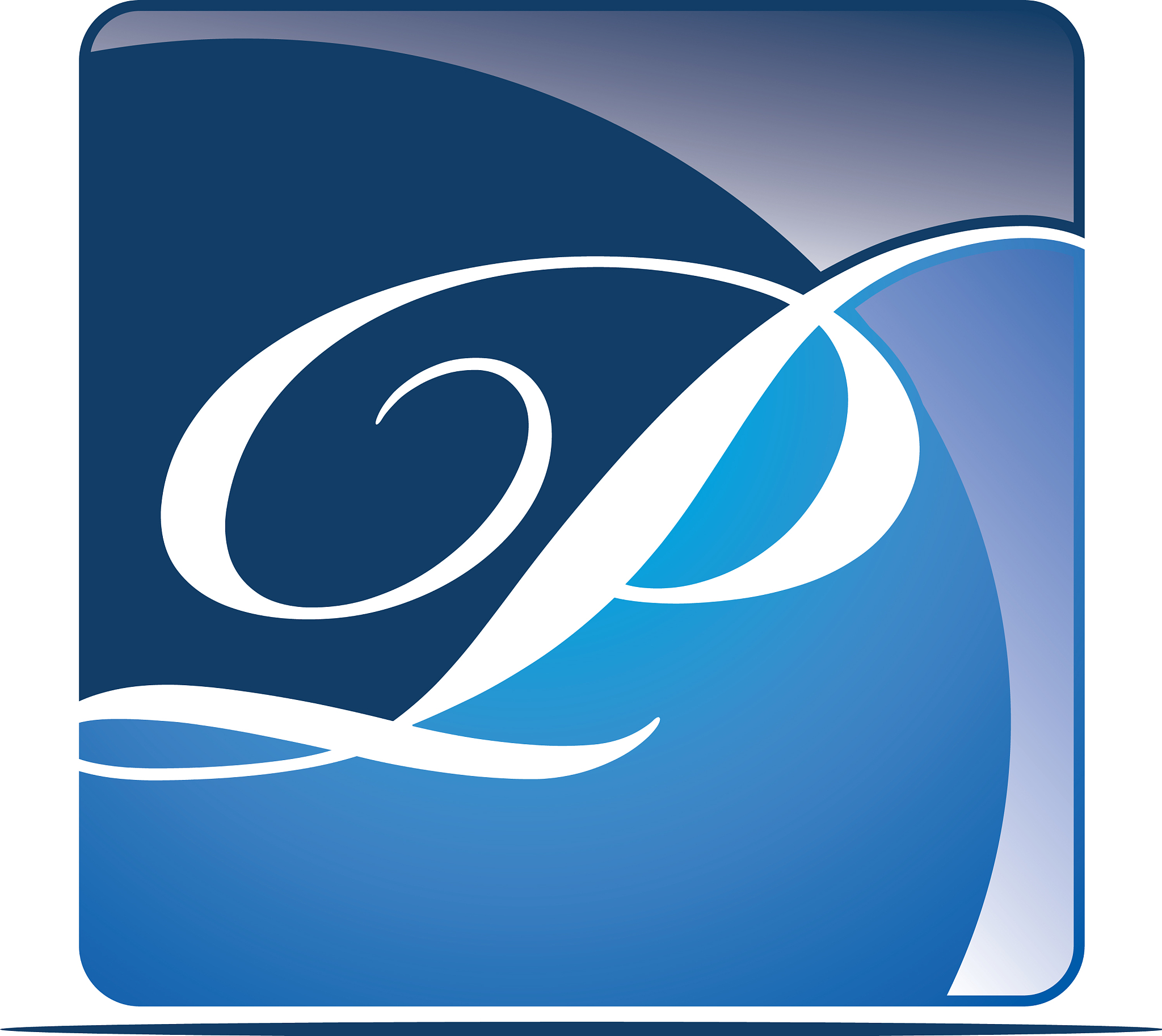 letter p logo design template