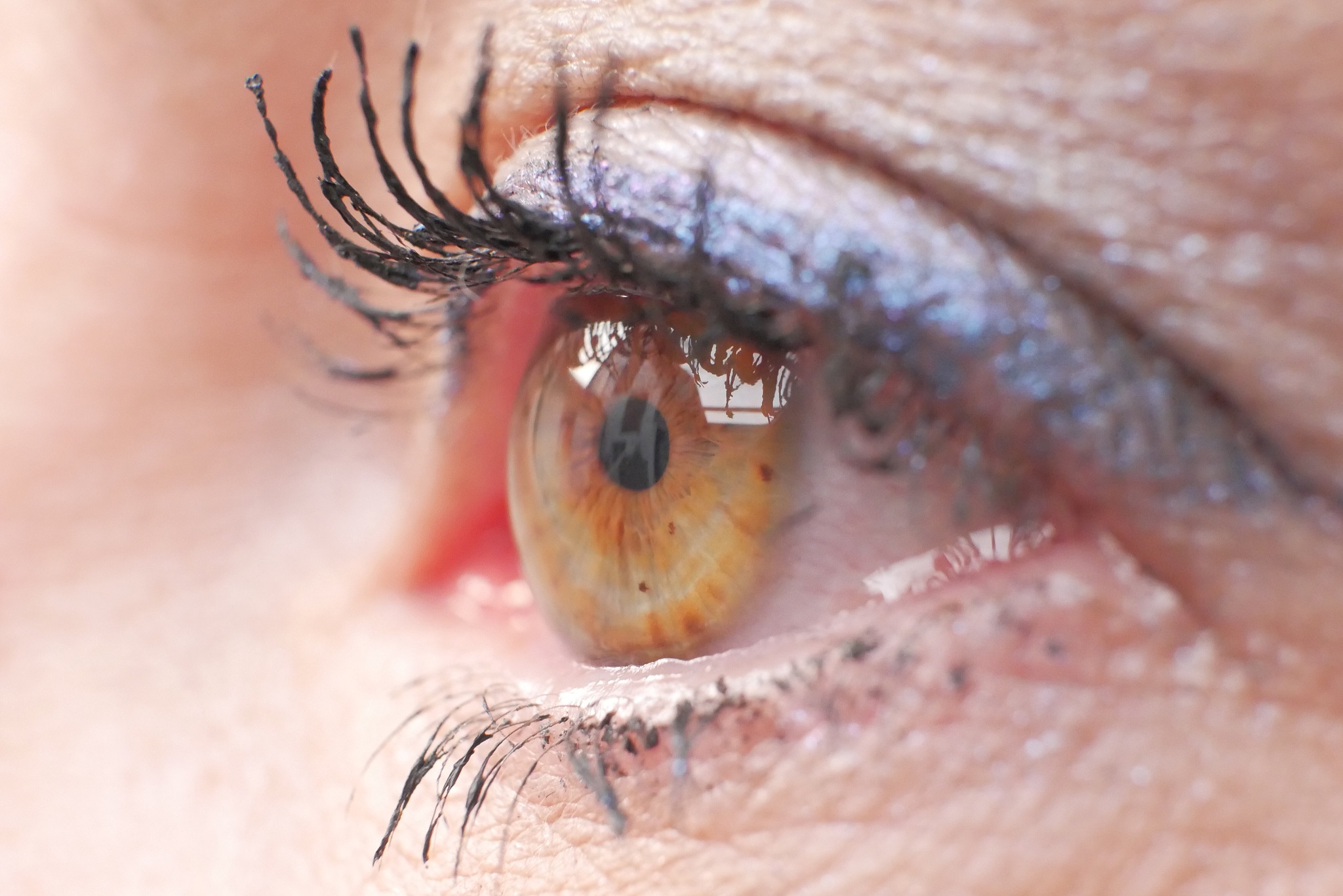 extreme close-up of woman eye looking away